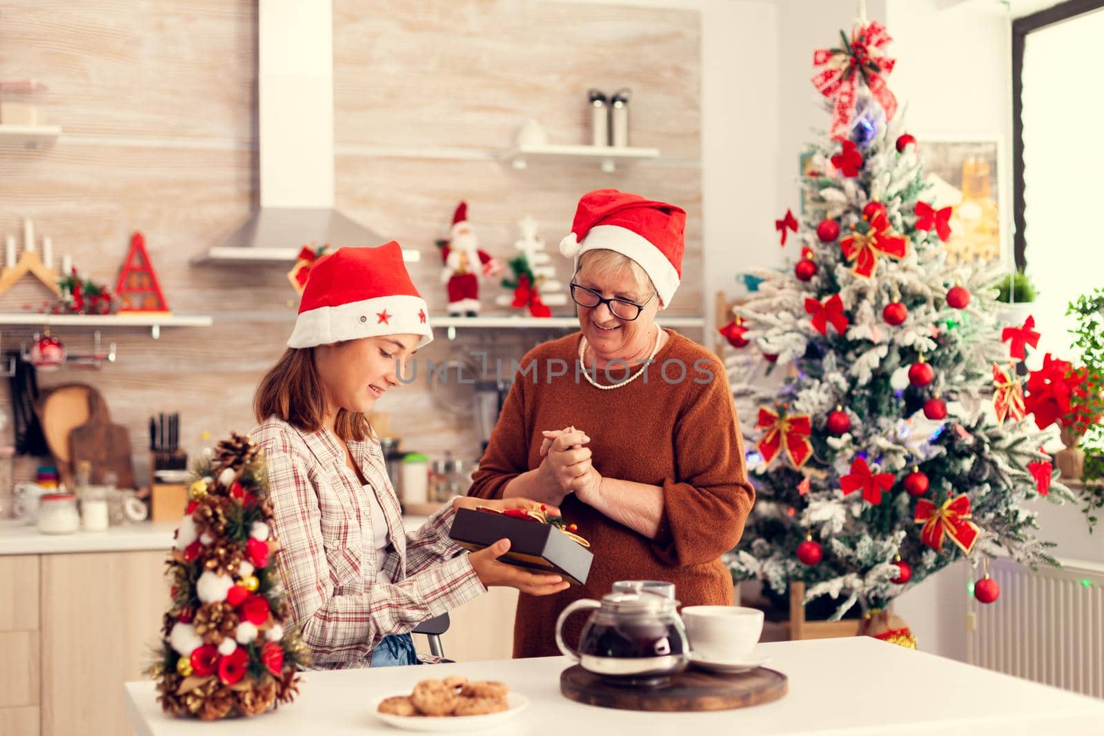 Happy young niece looking at christmas gift box from granny by DCStudio