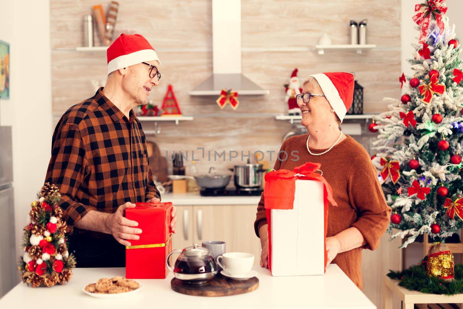 Happy grandparents celebrating christmas exchanging presents with red bow. Senior man and woman wearing santa hat during christmas giving elderly woman gift box with christmastree in the background.