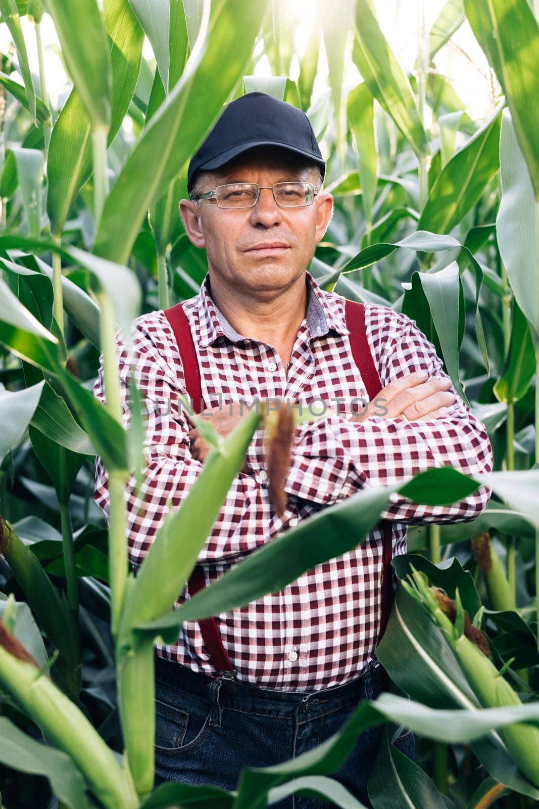 Portrait shot of attractive Caucasian man standing in green corn field, smiling cheerfully to camera. Male farmer with smile outdoors in summer.