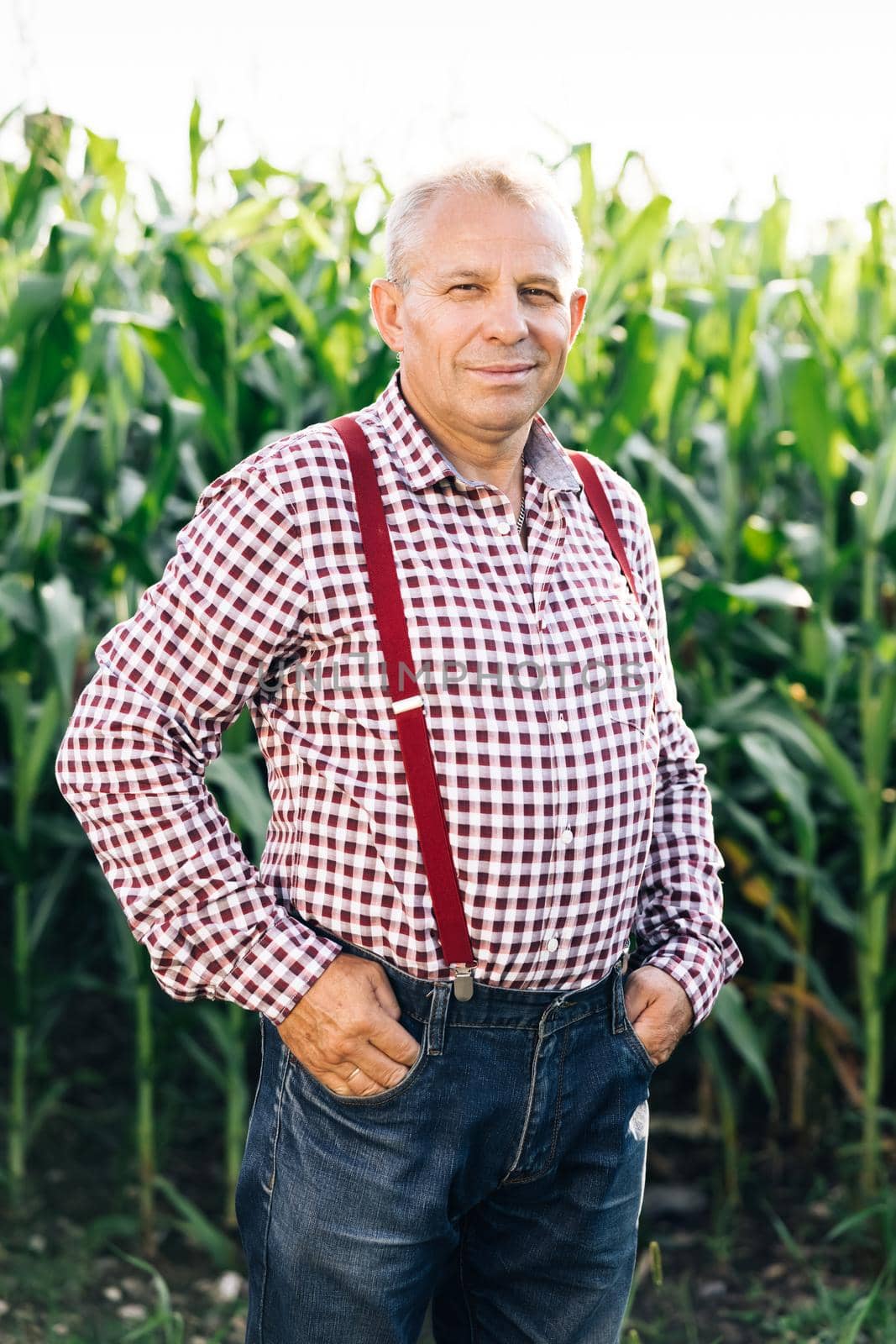 Portrait of Senior Caucasian handsome happy man farmer standing in corn field and smiling to camera. Cheerful male worker in agricultural farm. Sunlight. Agriculture farming.