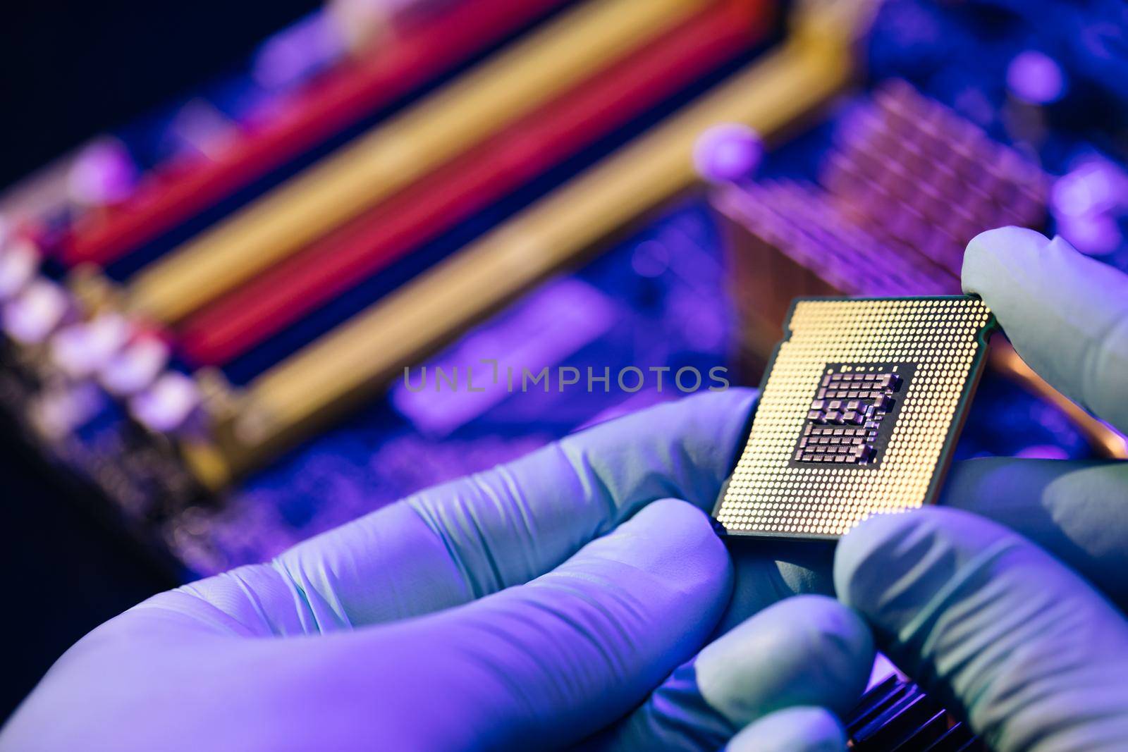 Installation of computer processor in the socket. Microprocessor with clearly visible silicon core and cache chip. Computer support engineer installing processor.