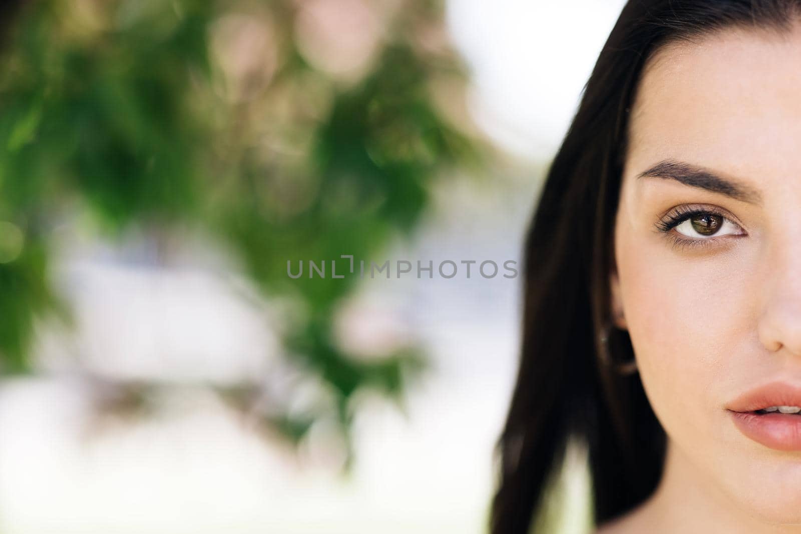 Close up half face of beautiful soft woman with natural make-up looking at camera. Portrait young asian pretty brunette girl outside at sunshine. Etnnicity. People. Beauty