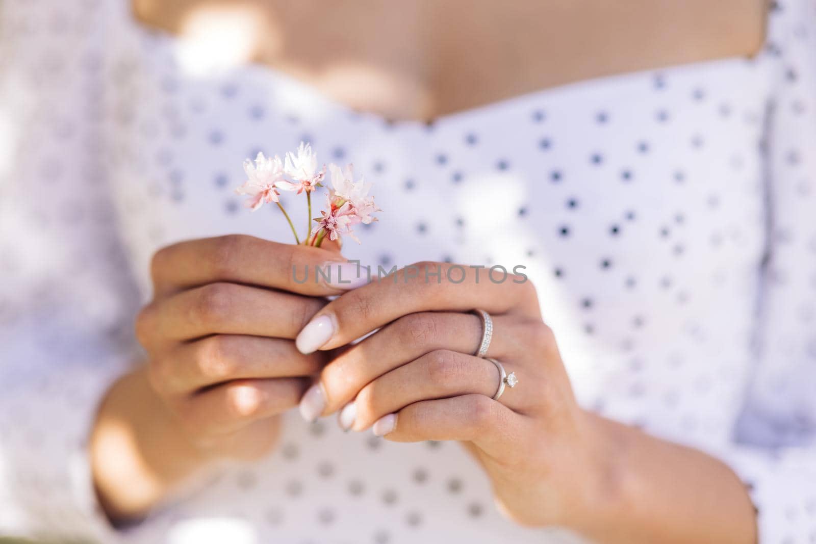 Portrait gorgeous girl is holding pink flower petals in her hands. Blowing petals, windy weather by uflypro