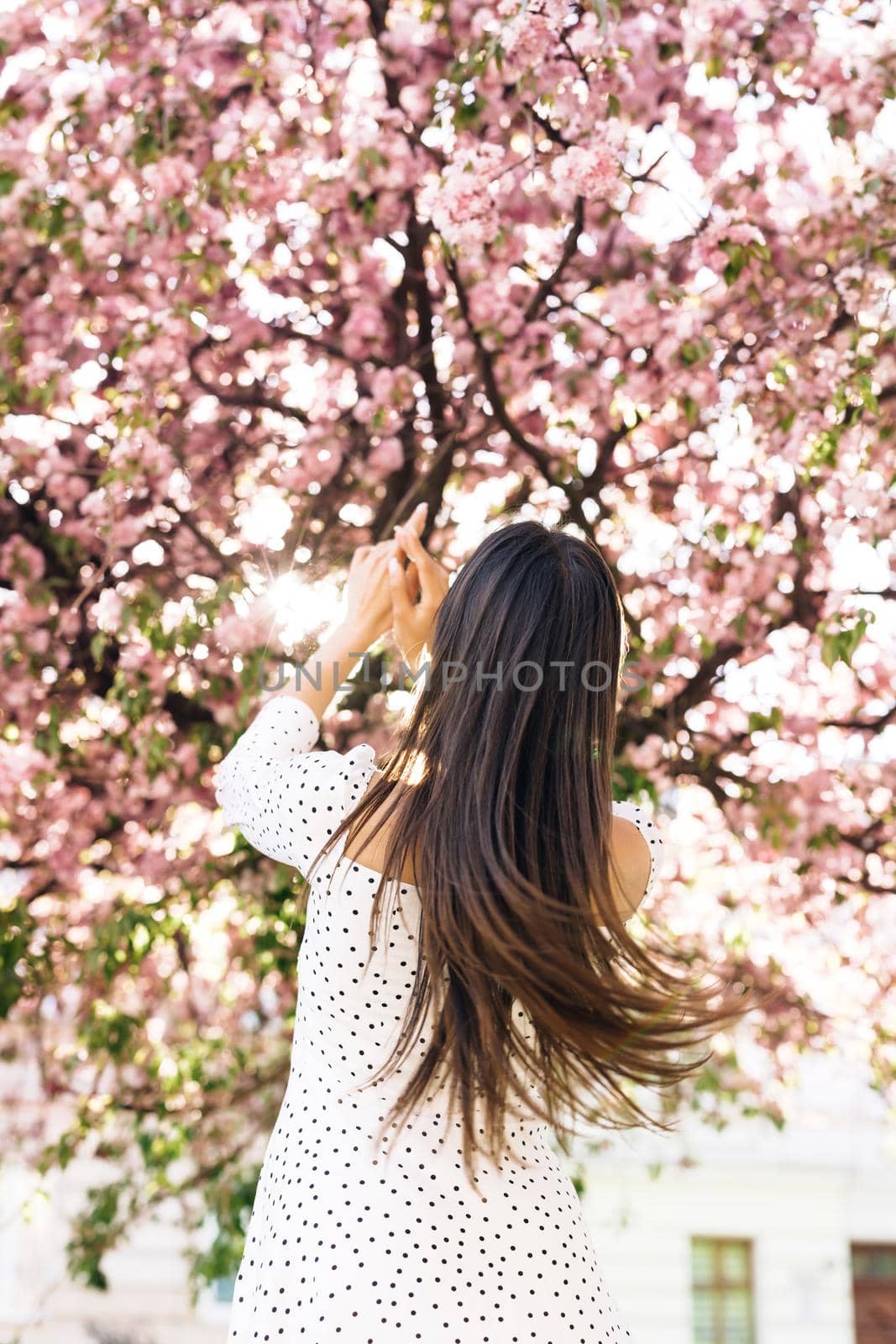 Gorgeous young woman with beautiful long hair is walking down the city street park. Summer sunset beautiful lady outdoor. Spring blossom of sakura tree in city park by uflypro