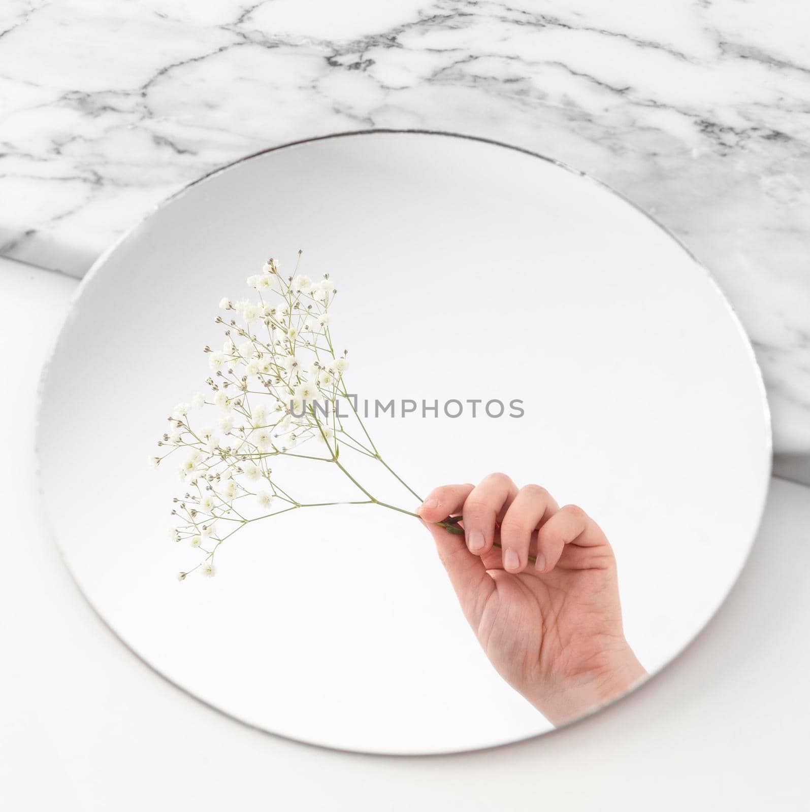 hand with flowers mirror. High quality photo by Zahard