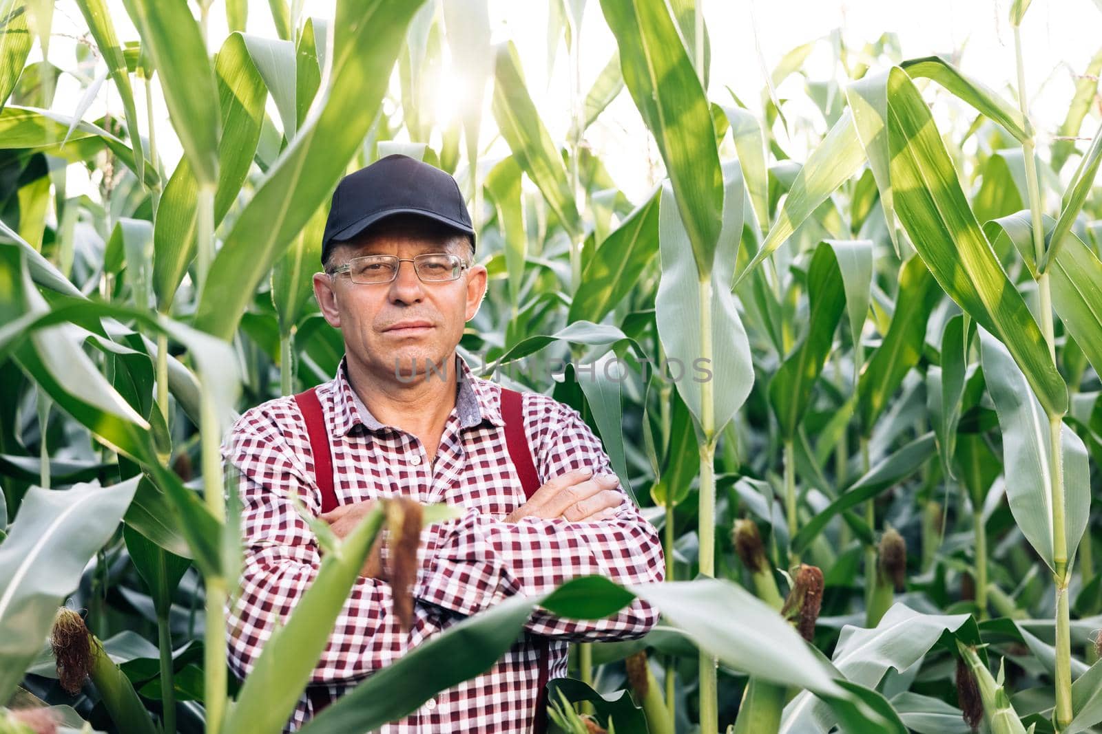 Portrait of the thoughtful senior male farmer looks at camera. Senior Farmer smiling. Close up of the Caucasian good looking man smiling to the camera by uflypro