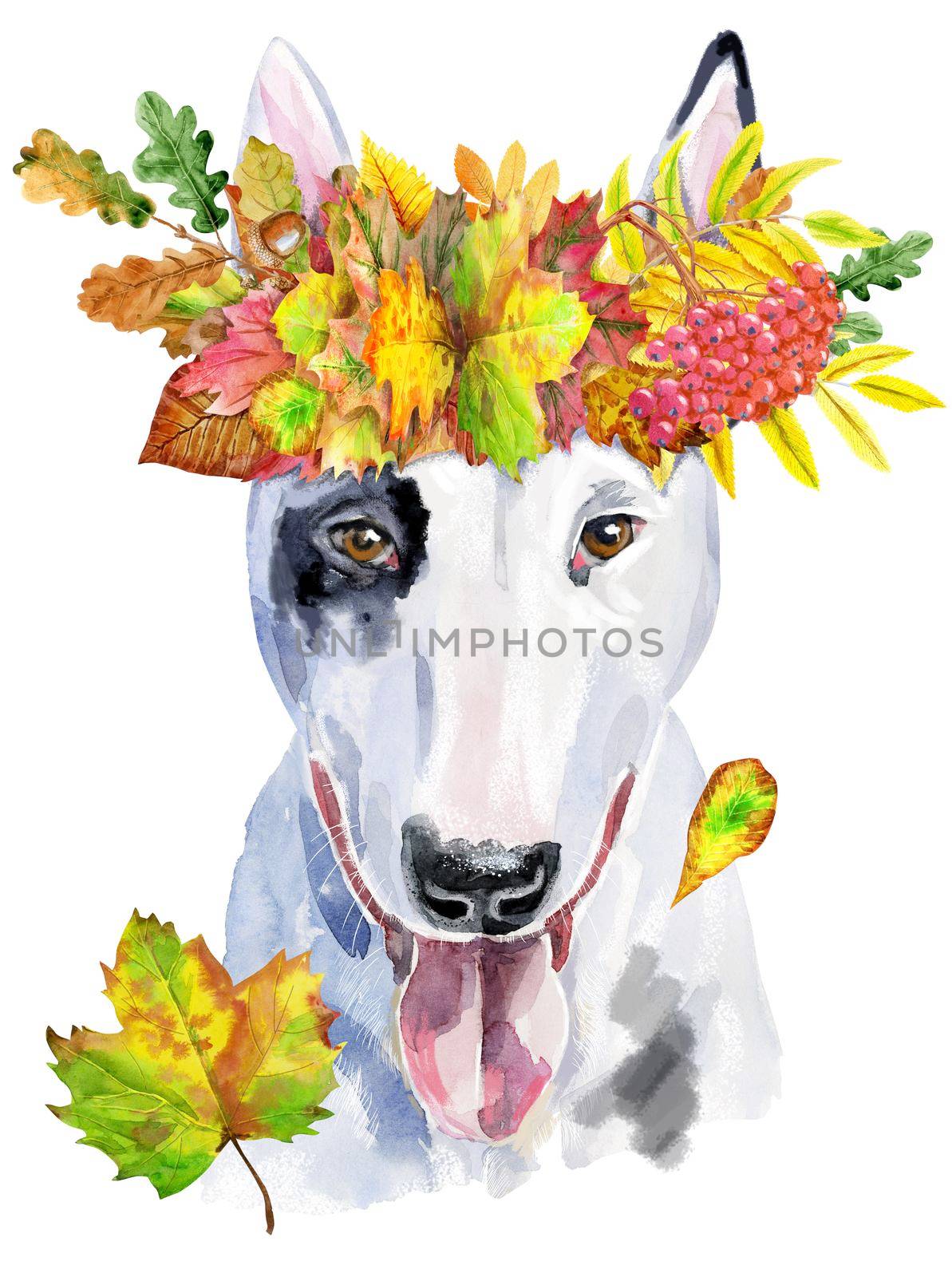 Watercolor portrait of bull terrier in a wreath of autumn leaves by NataOmsk