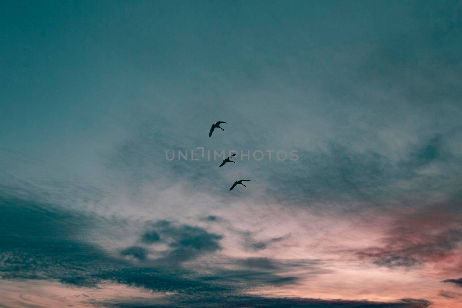 inspiring view sunrise light. High resolution photo