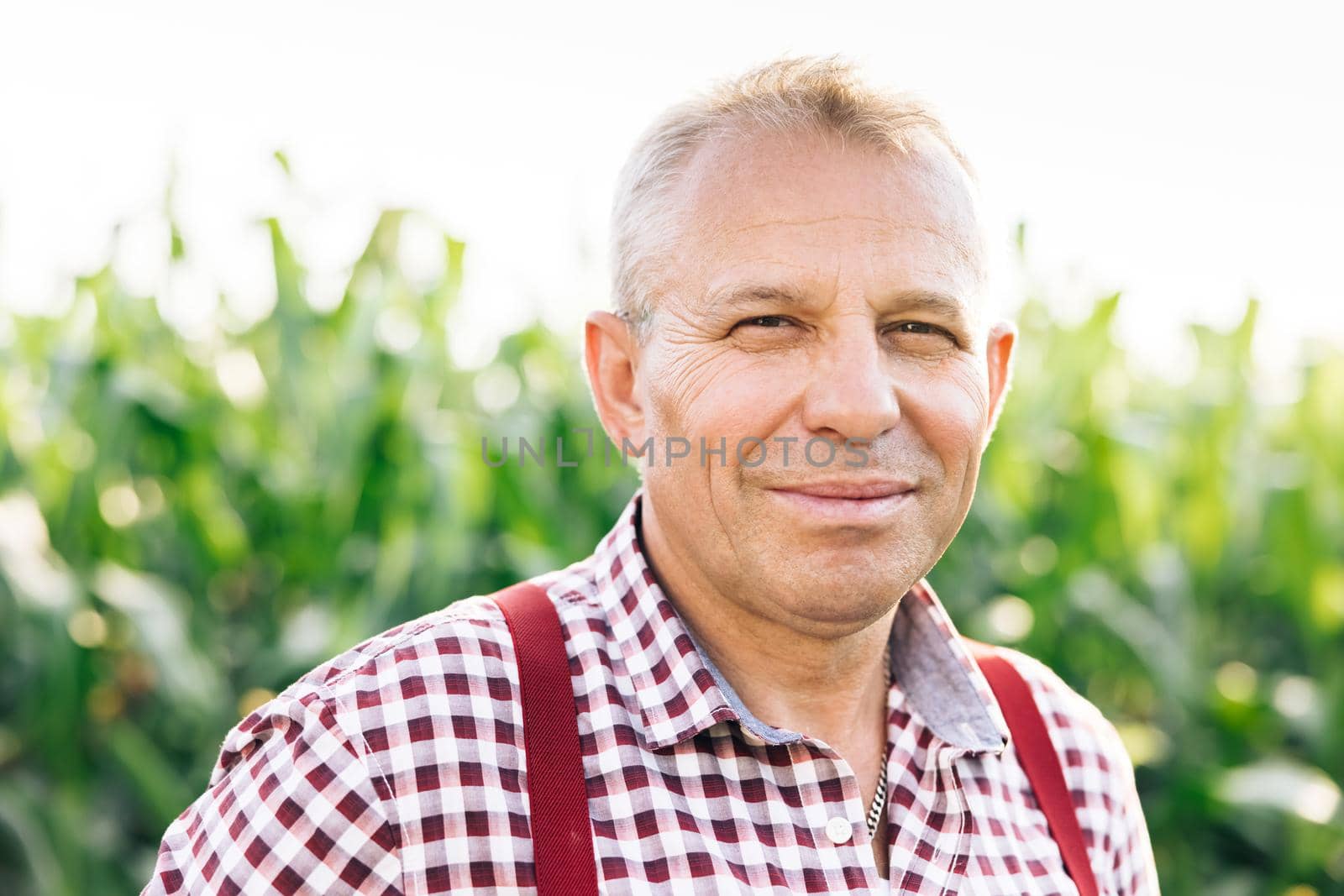 Close up portrait of senior smile man good looking to the camera in the corn field on the sunny day. Face Happy Farmer Worker Summer Nature Farming Real People Concept by uflypro