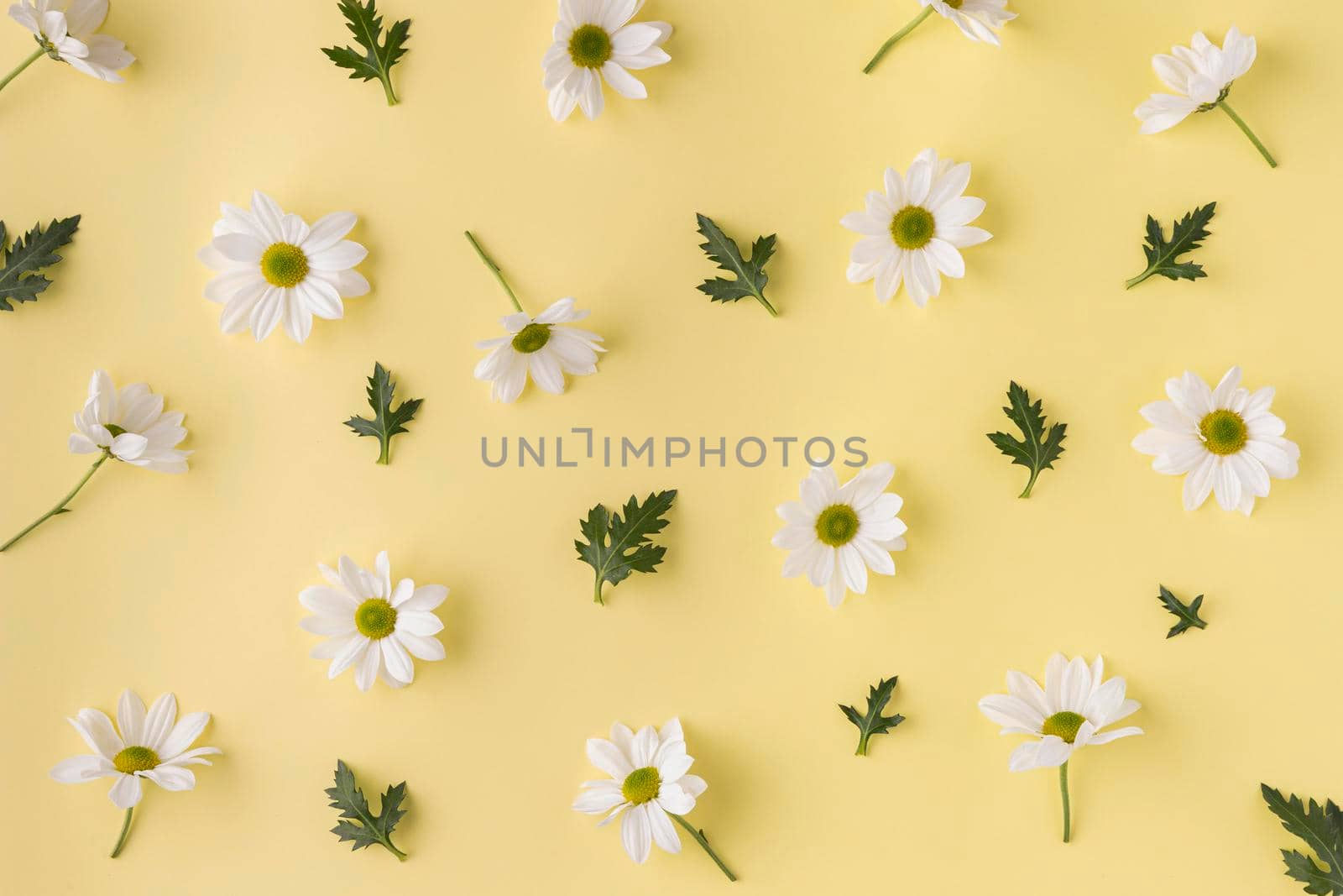 top view blooming flowers. High resolution photo