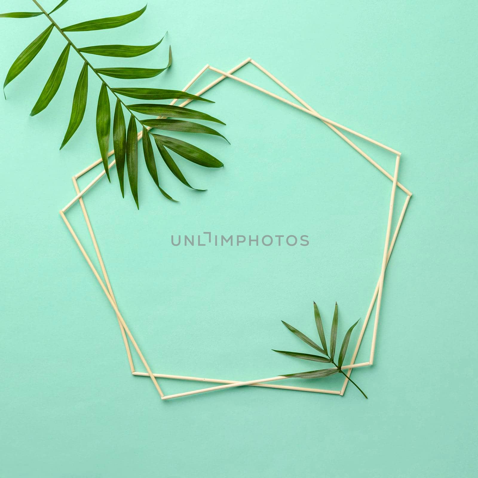 assortment green leaves with empty frame. High quality photo by Zahard