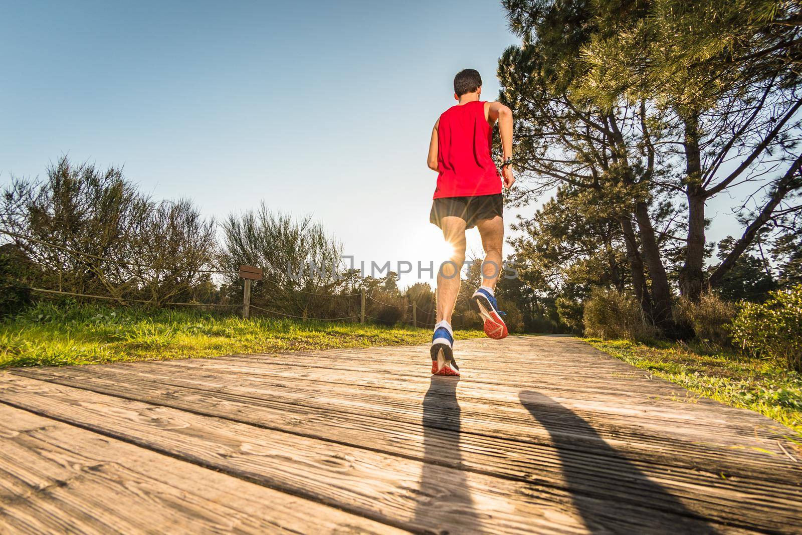 Athletic young man running in the nature. Healthy lifestyle