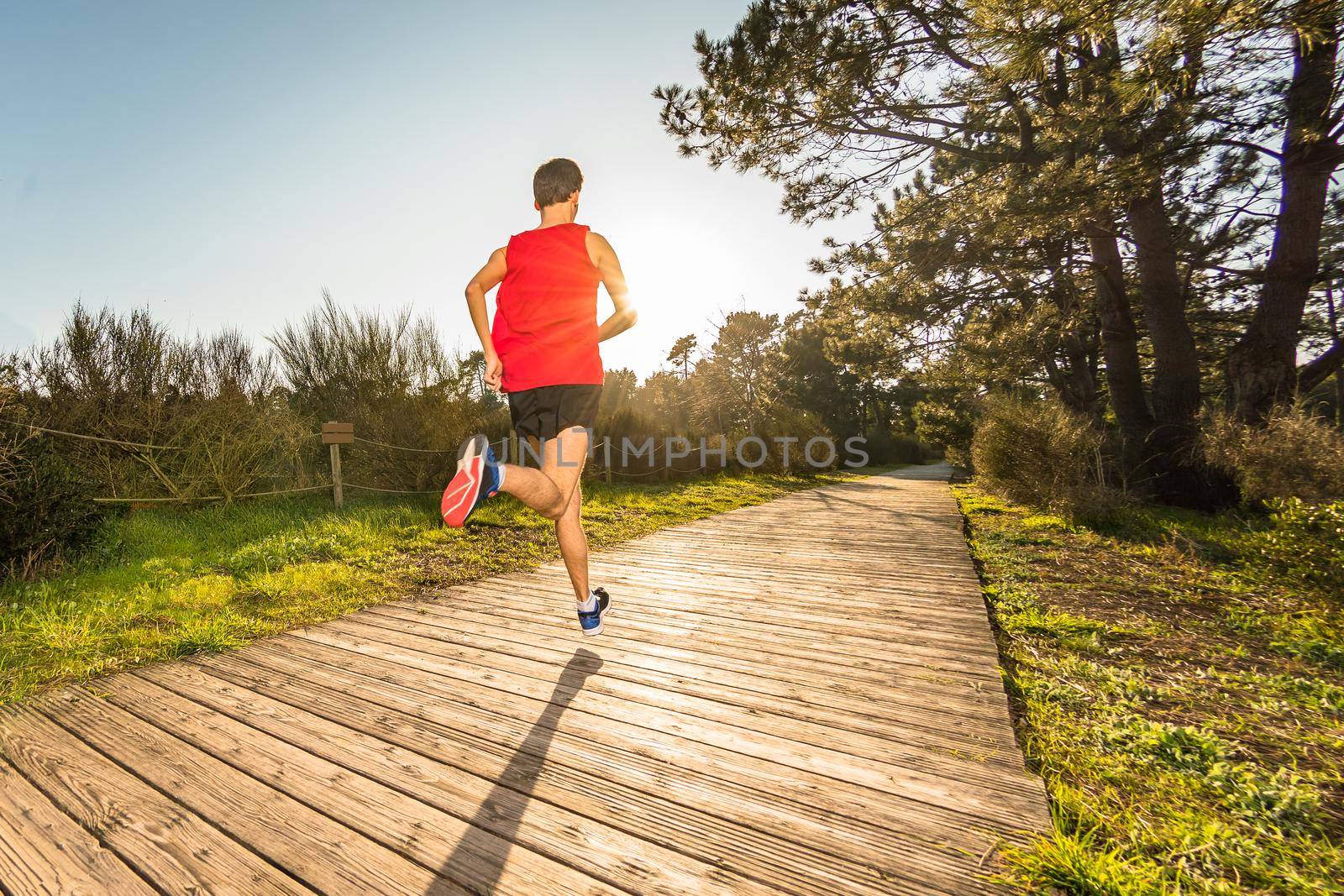 Athletic young man running in the nature. Healthy lifestyle