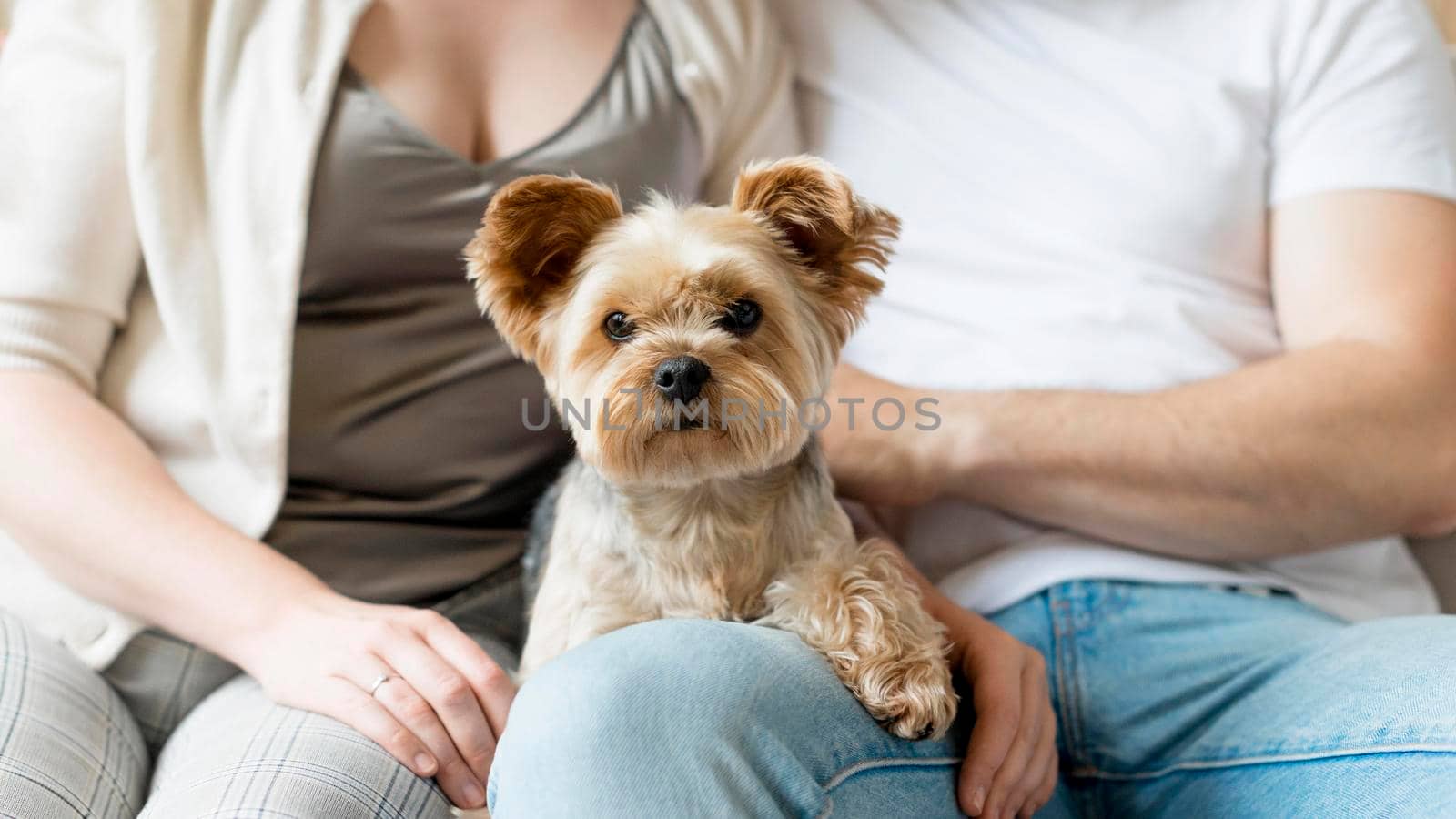 married couple their dog. High resolution photo