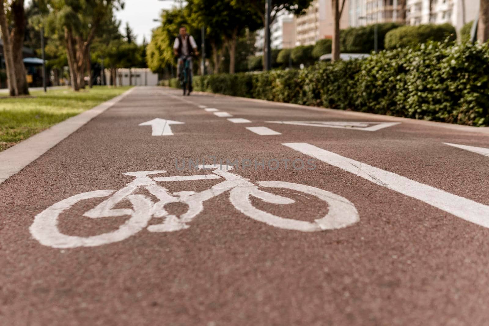 bike lane road. High resolution photo
