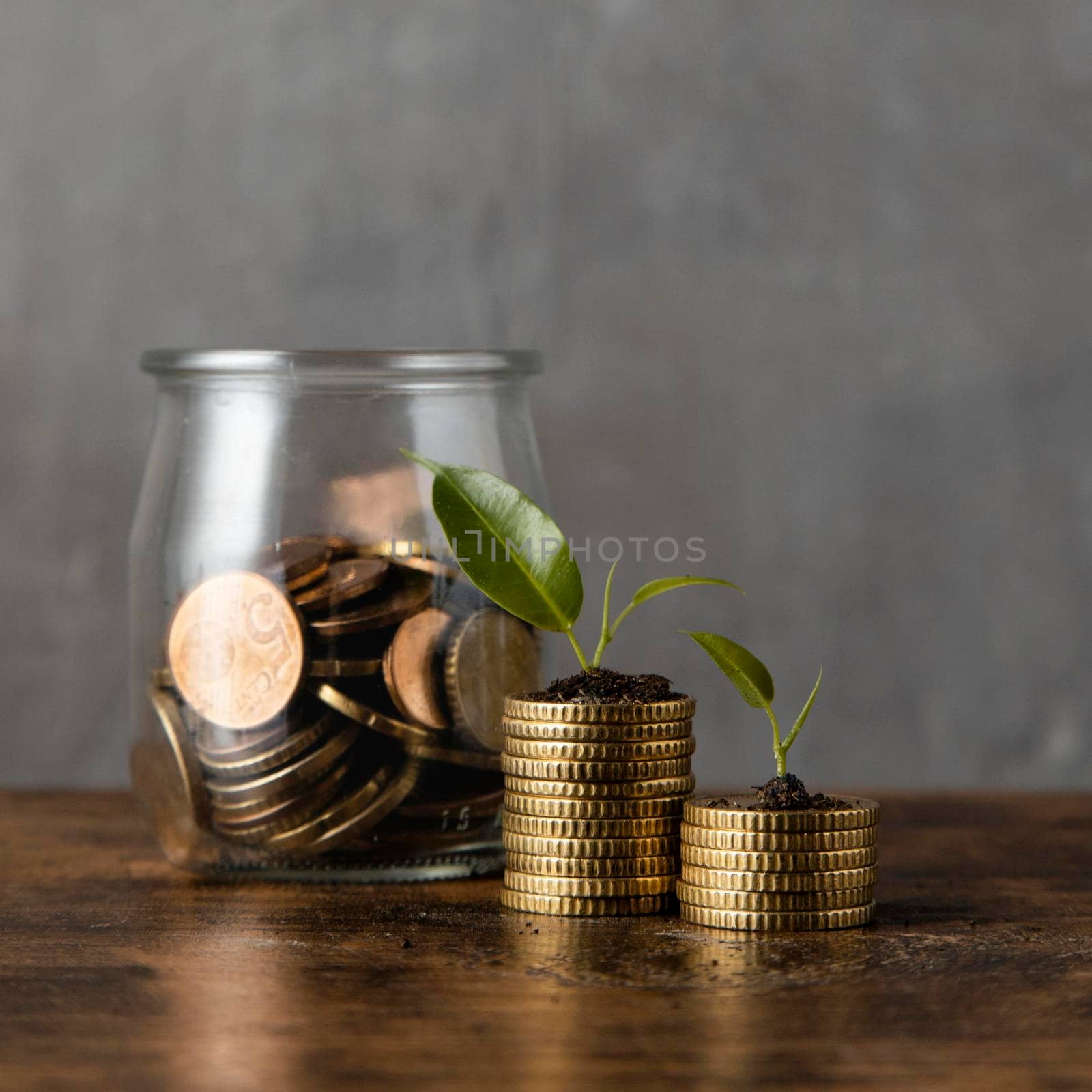 front view two stacks coins with plants jar. High quality photo by Zahard