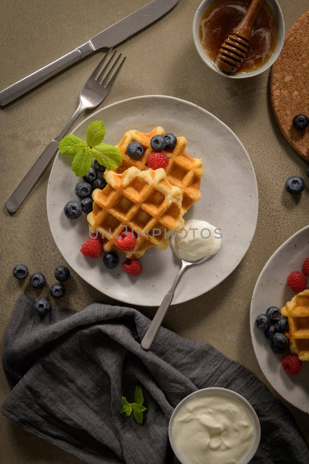 Sweet Homemade Berry Belgian Waffle with Whipped Cream.