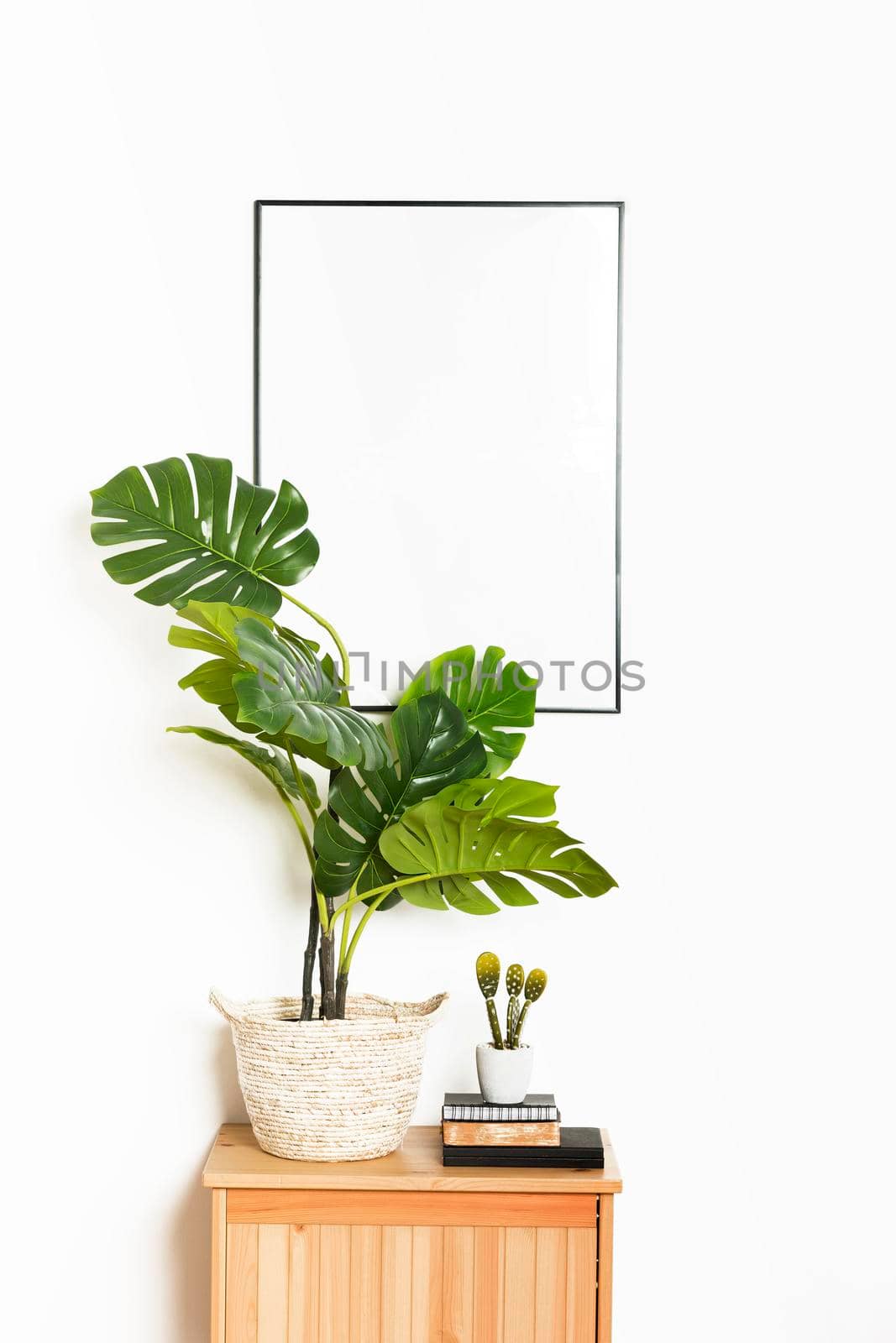 decorative plant with empty frame. High resolution photo