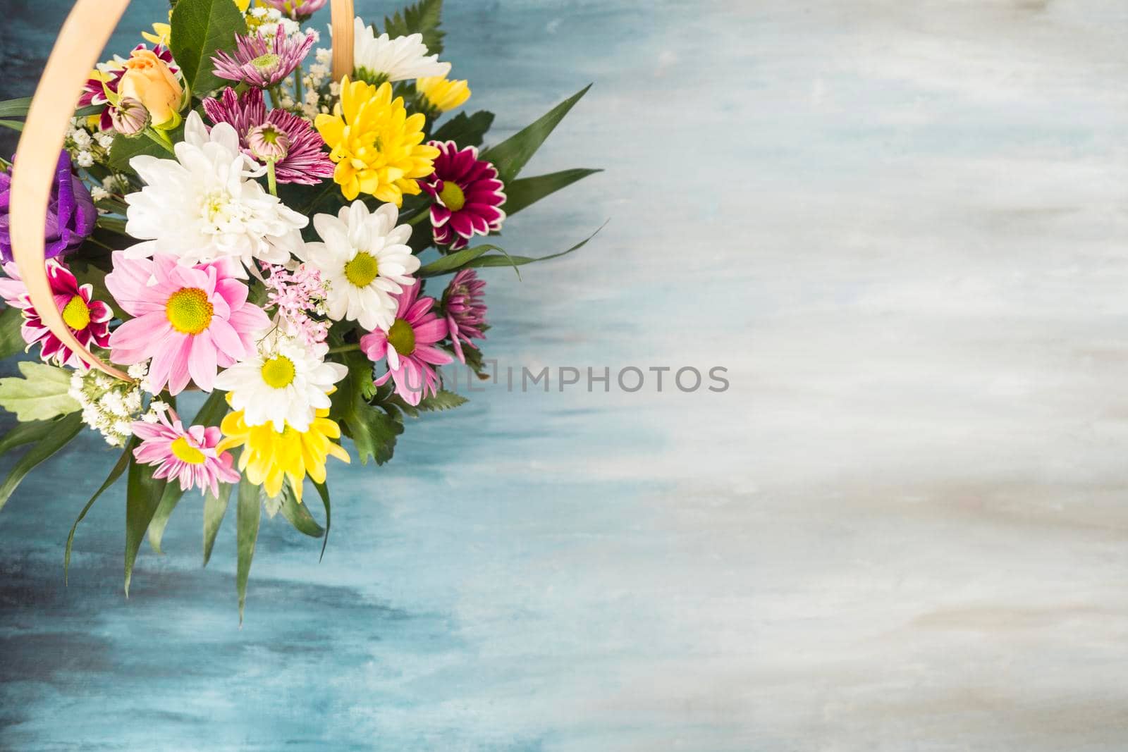 OLYMPUS DIGITAL CAMERA. High resolution photo