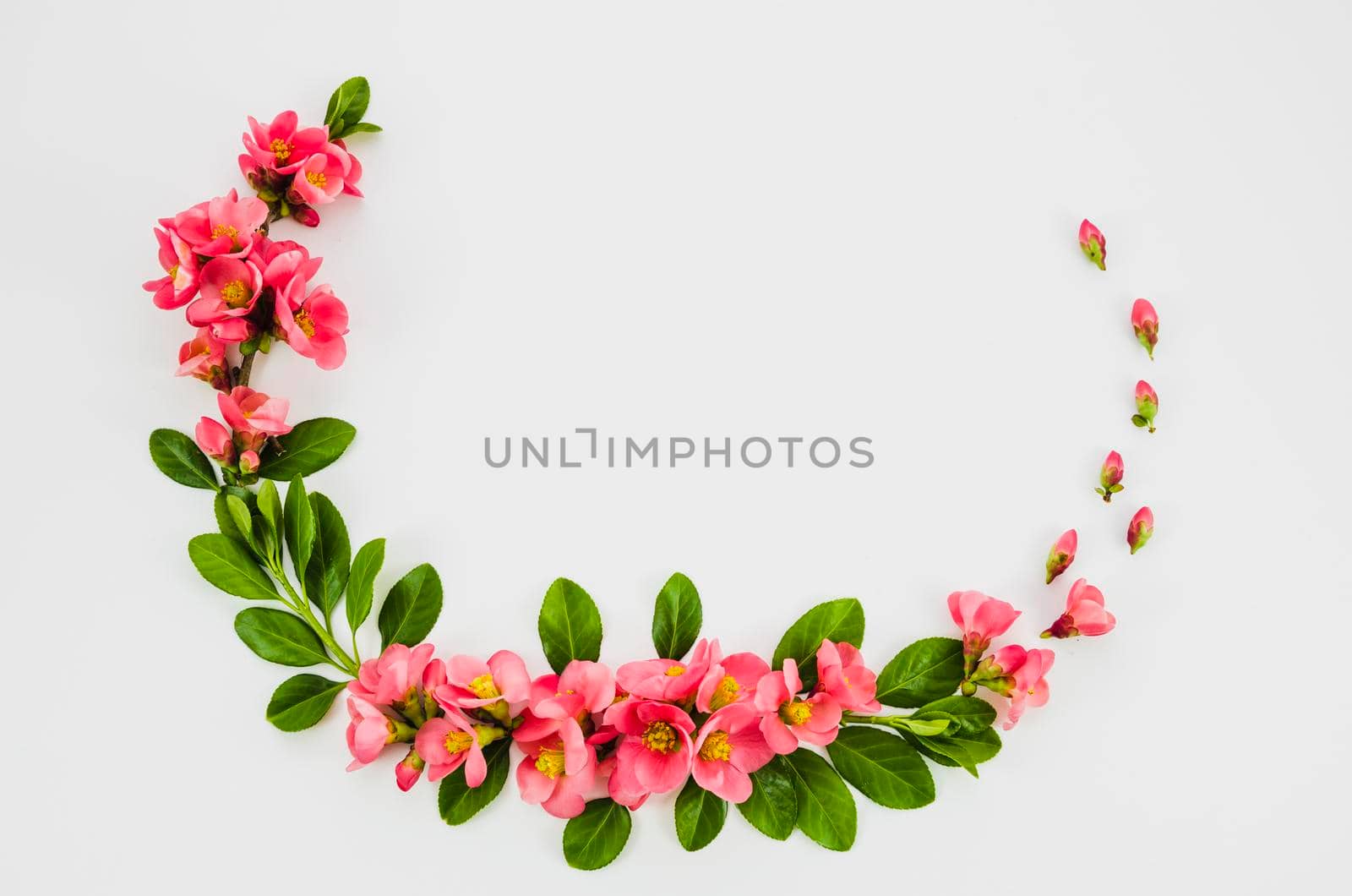 floral garland. High resolution photo