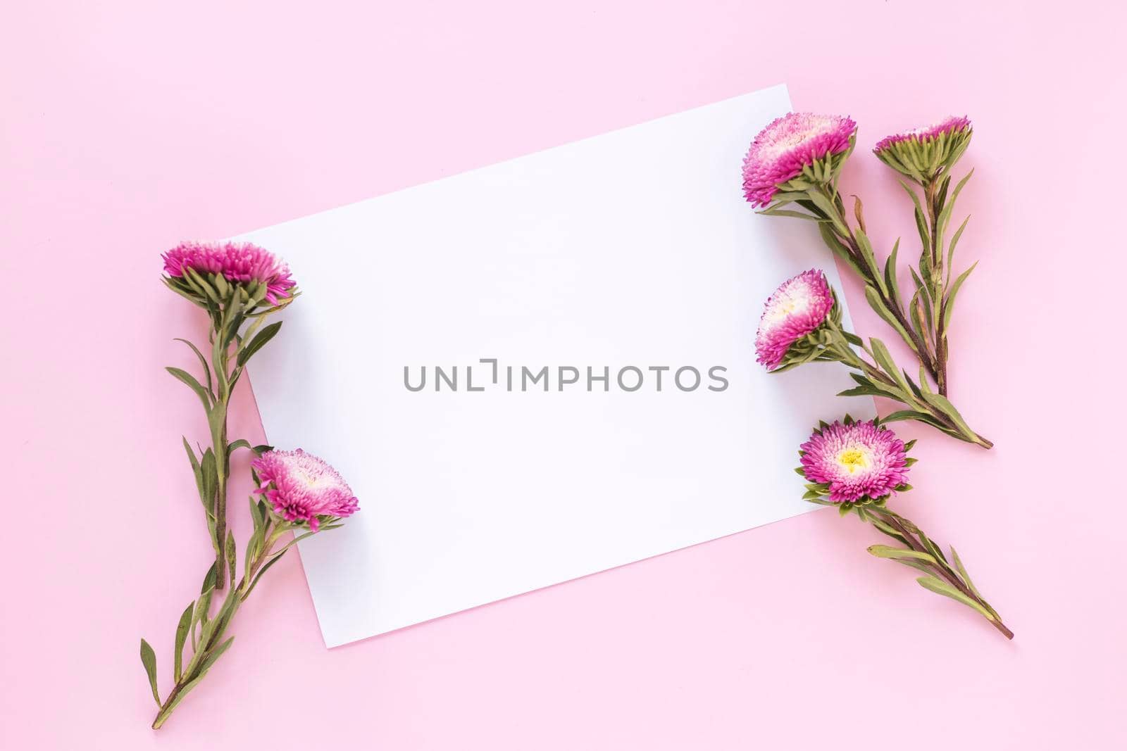 high angle view flowers blank paper sheet pink backdrop. High resolution photo