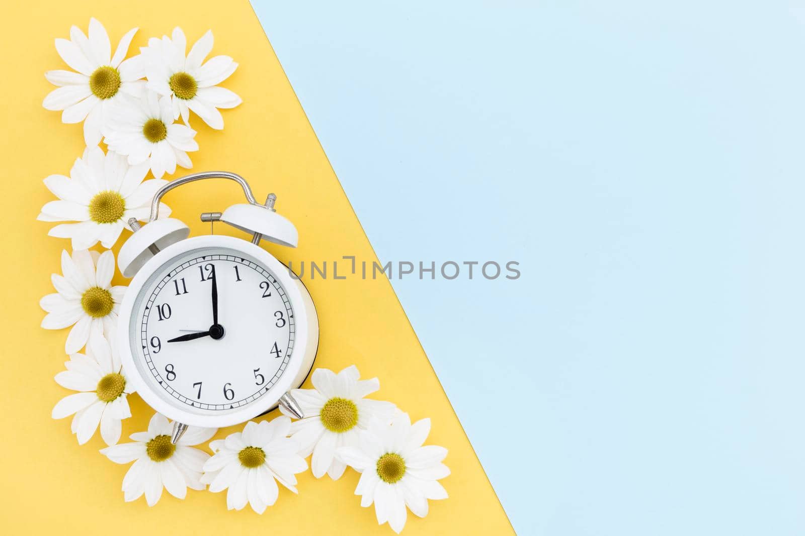 flat lay frame with clock daisies. High resolution photo