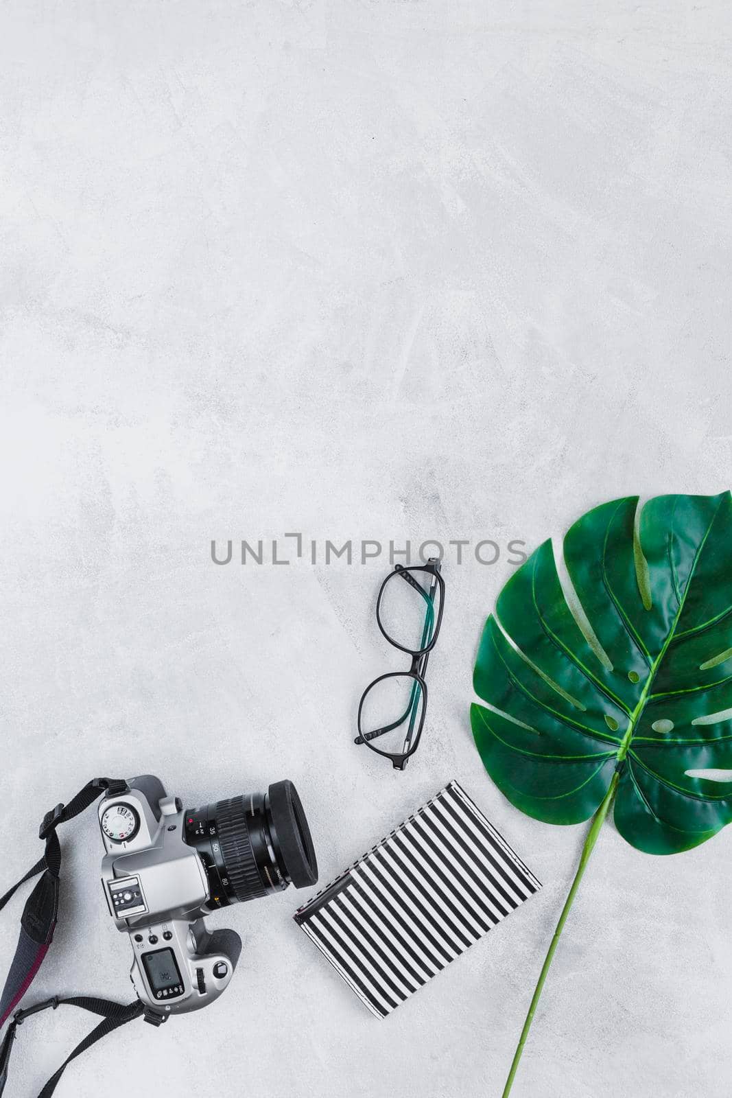 heart shape leaf eyeglasses wallet camera gray background. High quality photo by Zahard