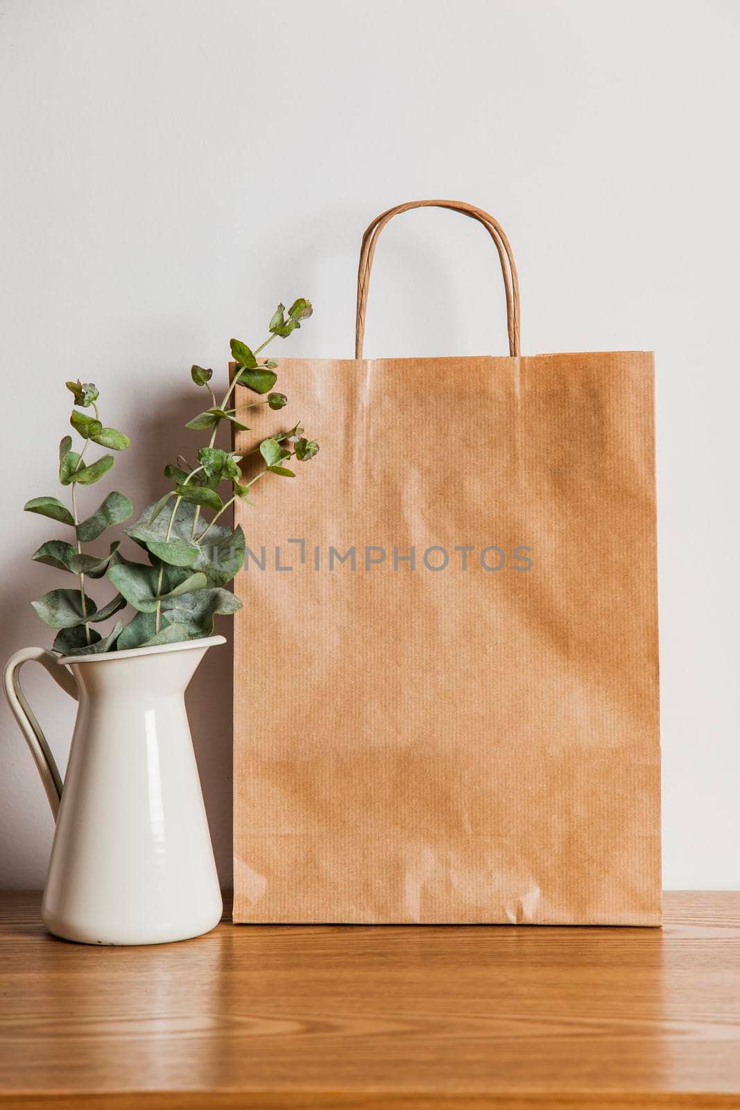 paper bag plant. High resolution photo
