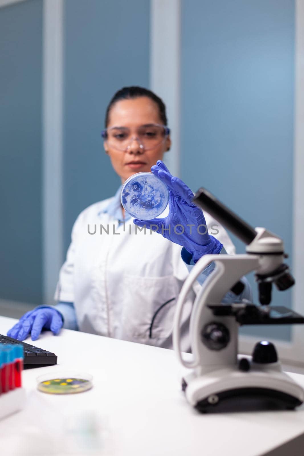 Scientist woman analyzing petri dish with microorganism bacteria in microbiology chemistry hospital laboratory. Biologist researcher working at biochemistry investigation examining microplate