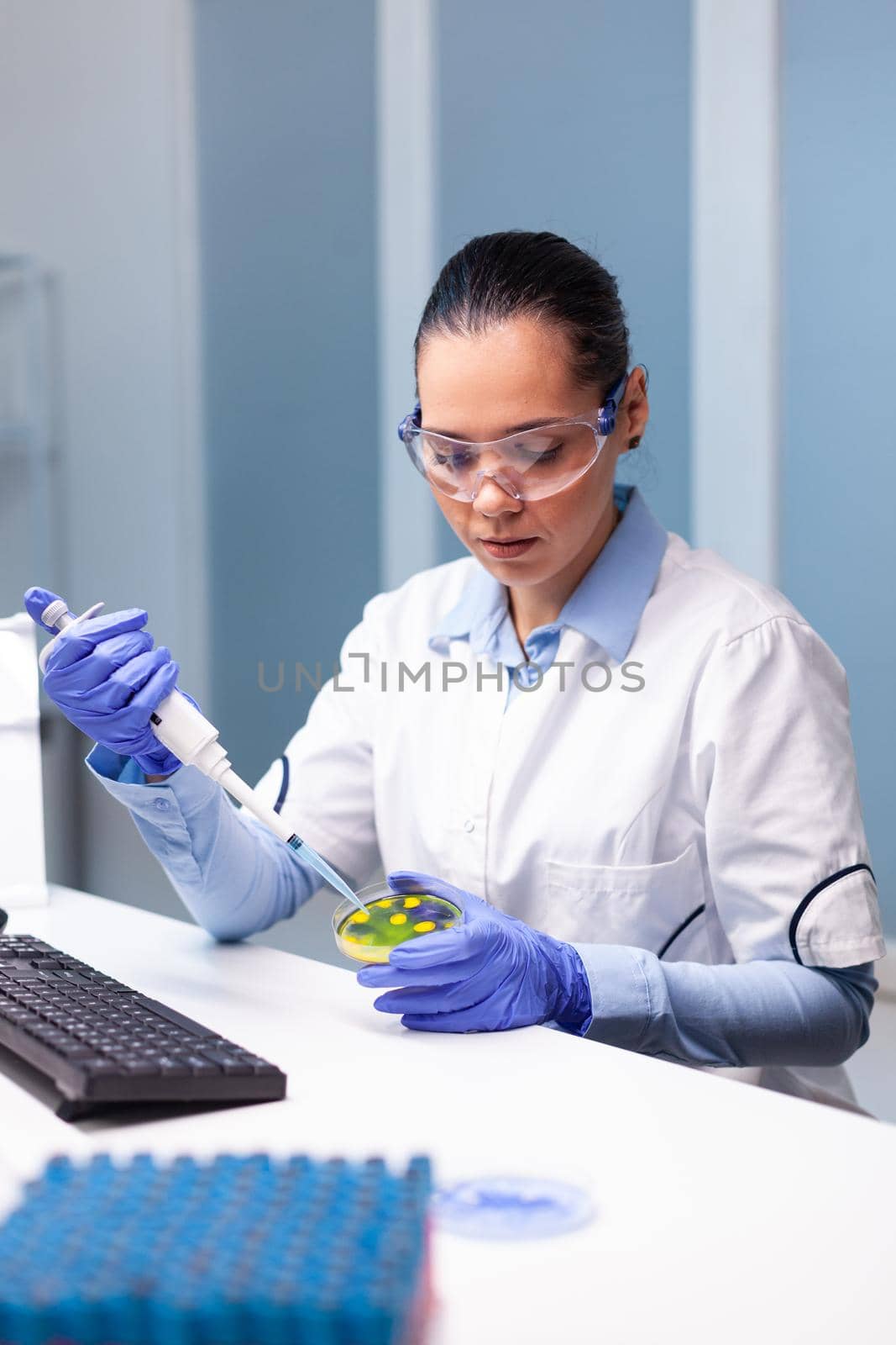 Scientist researcher putting medical solution using micropippete in petri dish with bacteria working at microorganism experiment in microbiology hospital laboratory. Doctor examining vaccine infection