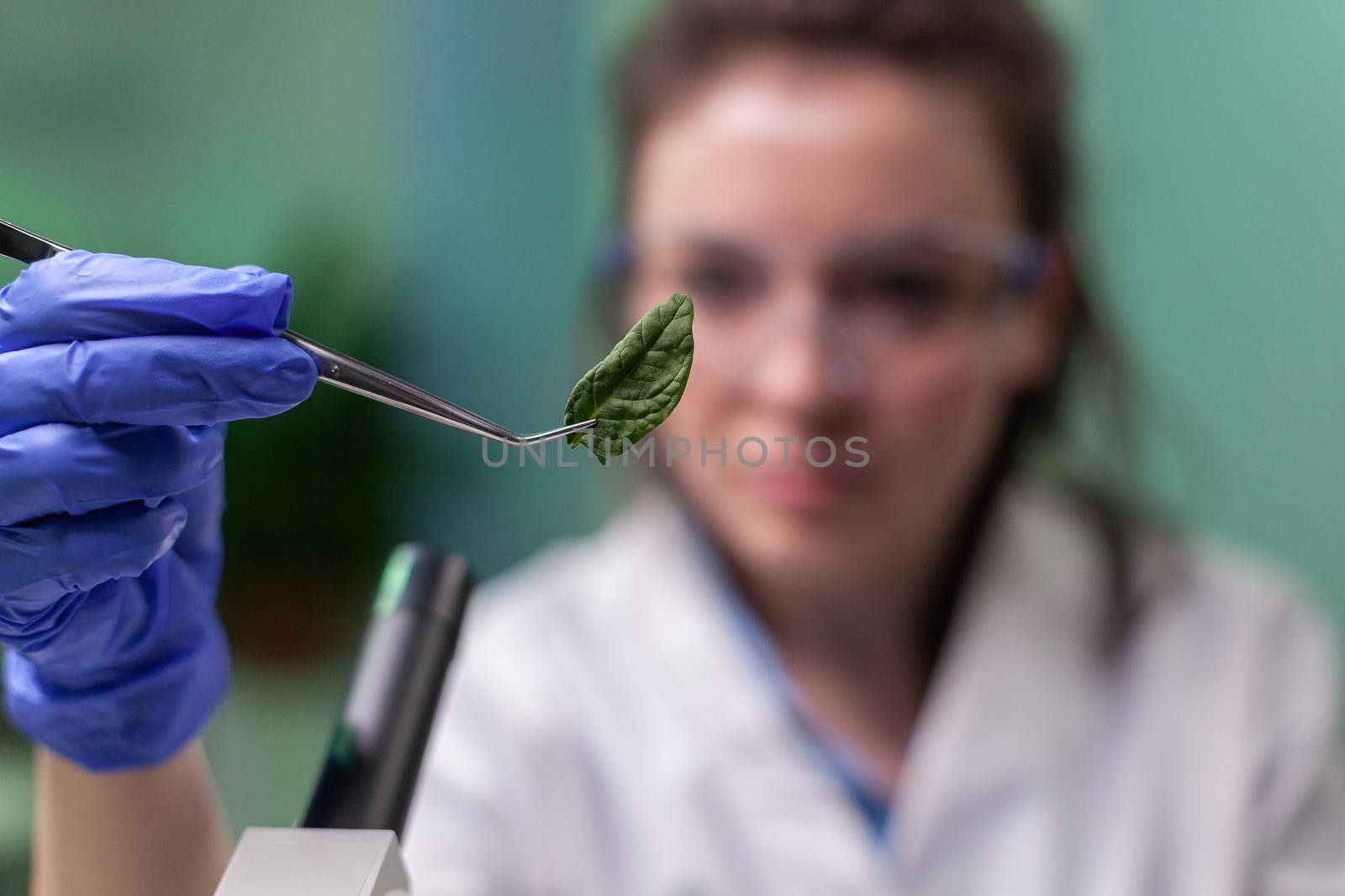 Scientist researcher examining genetically modified green leaf under microscope. Biologist engineering observing organic gmo plants while examining in microbiology food laboratory.