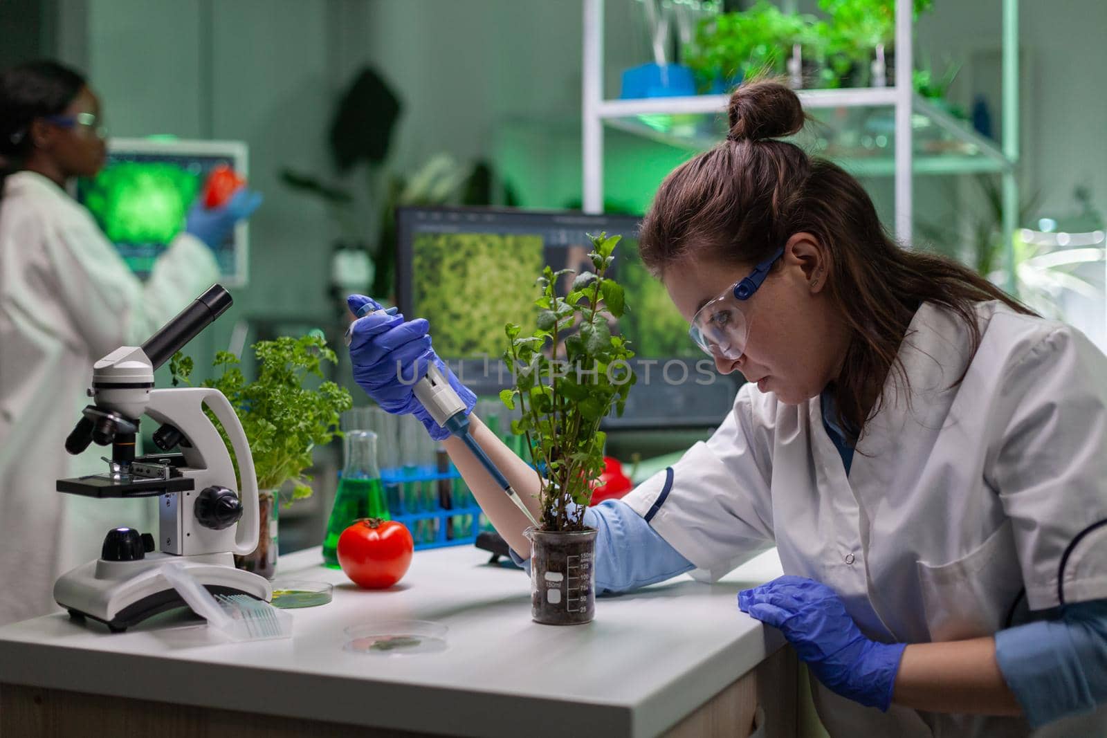 Biochemist scientific taking green liquid with micropieptte puttin on sapling observing genetic mutation typing biochemistry expertise on computer. Biologist woman working in biochemistry laboratory.