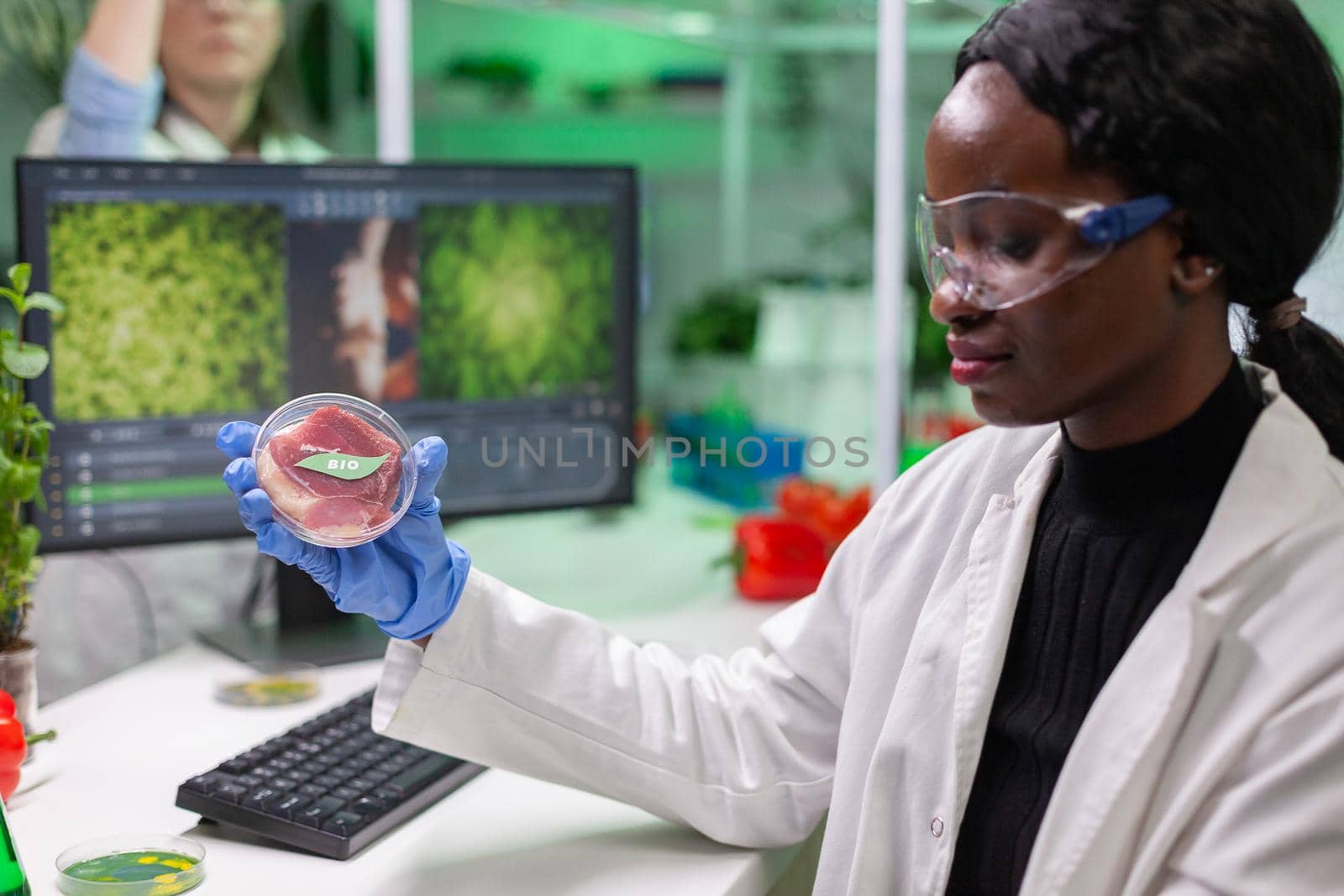 African chemist woman analyzing vegan beef meat for biochemistry experiment. Biologist researcher examining food genetically modified using chemical substance typing biological expertise on computer.