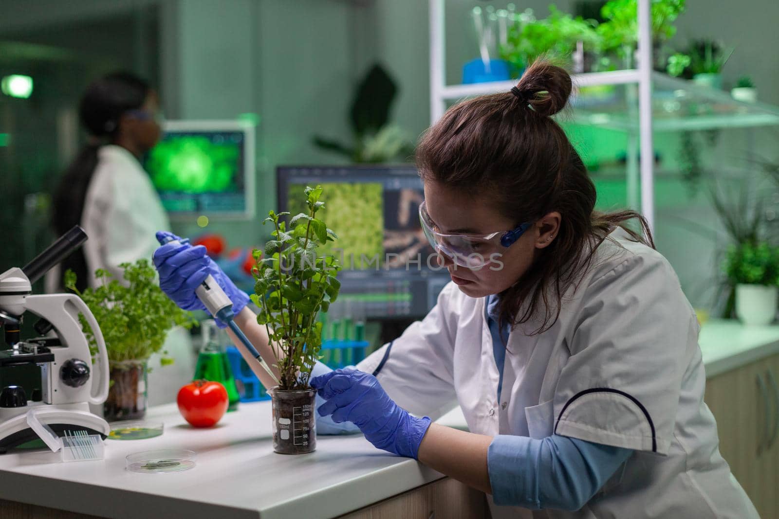 Biochemist scientific taking green liquid with micropieptte puttin on sapling observing genetic mutation typing biochemistry expertise on computer. Biologist woman working in biochemistry laboratory.