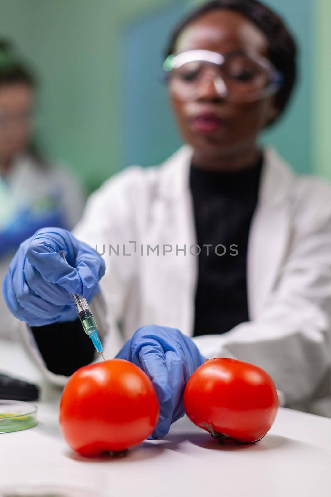 Closeup of chemist scientist injecting organic tomato with pesticides for gmo test. Biochemist working in pharmacology laboratory testing health food for microbiology expertise.