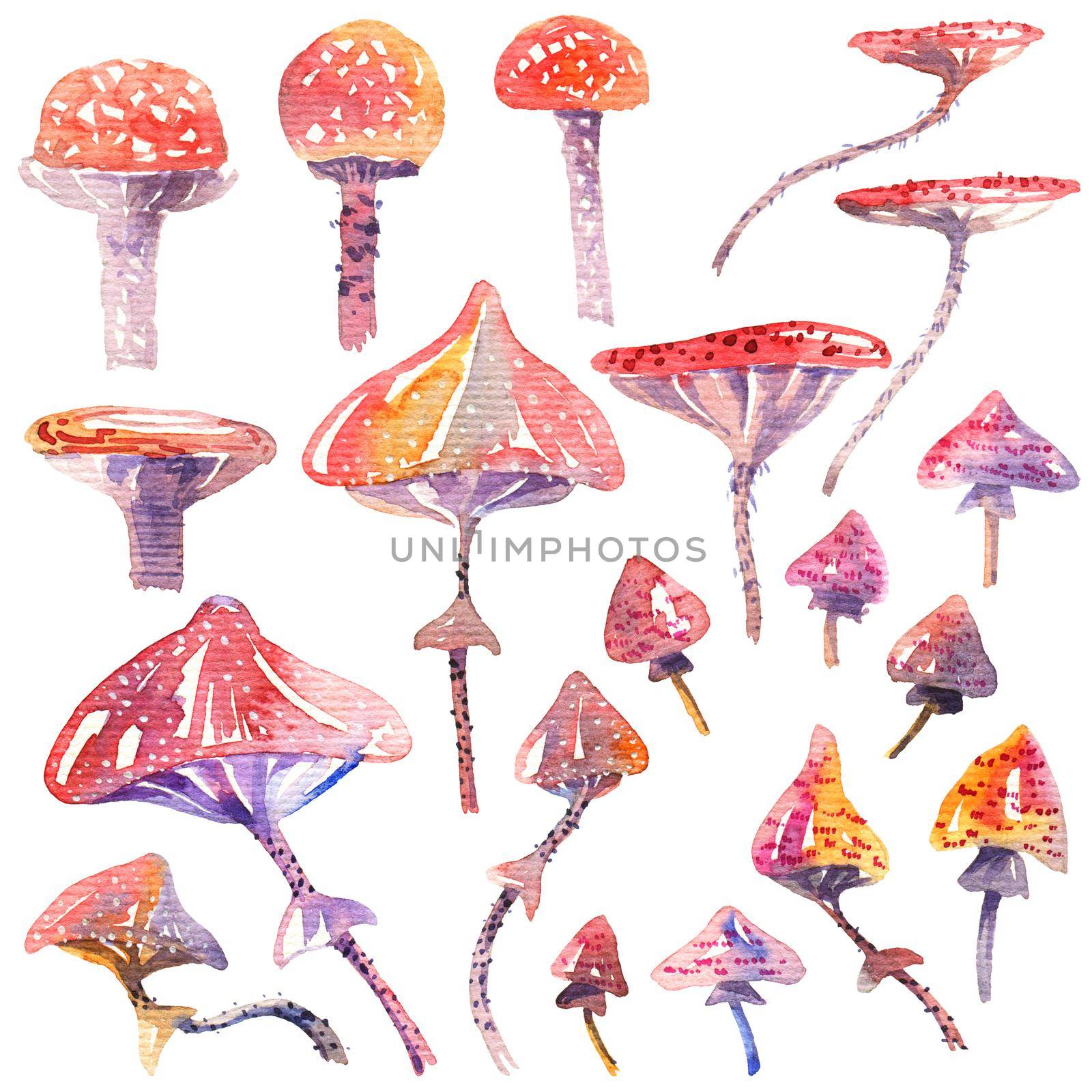 Watercolor mushrooms by Olatarakanova