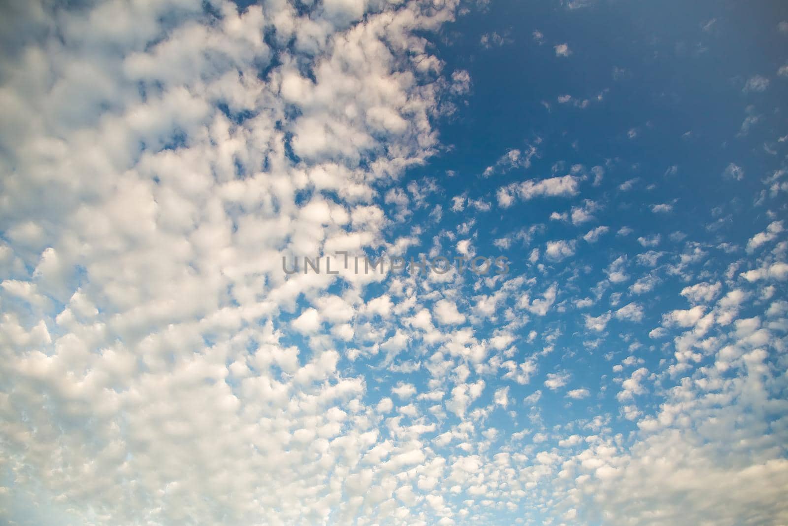 Beautiful blue sky with white cirrus clouds. Sky panorama for screensavers, postcards, calendar, presentations. Low point at wide angle. Warm spring or summer evening.