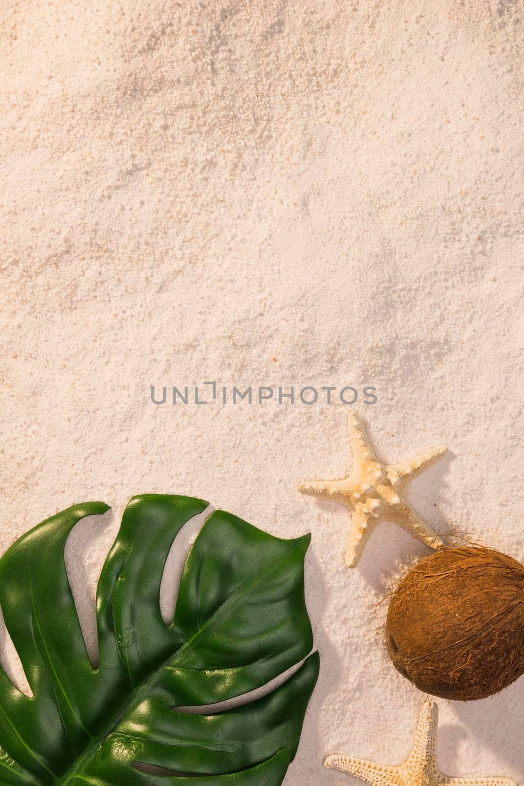 green leaf with starfish beach. High quality photo by Zahard
