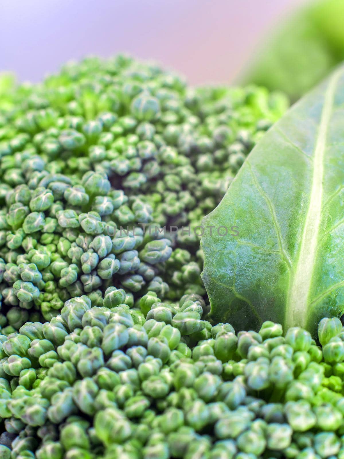 Close up to surface texture of freshness Broccoli vegetable