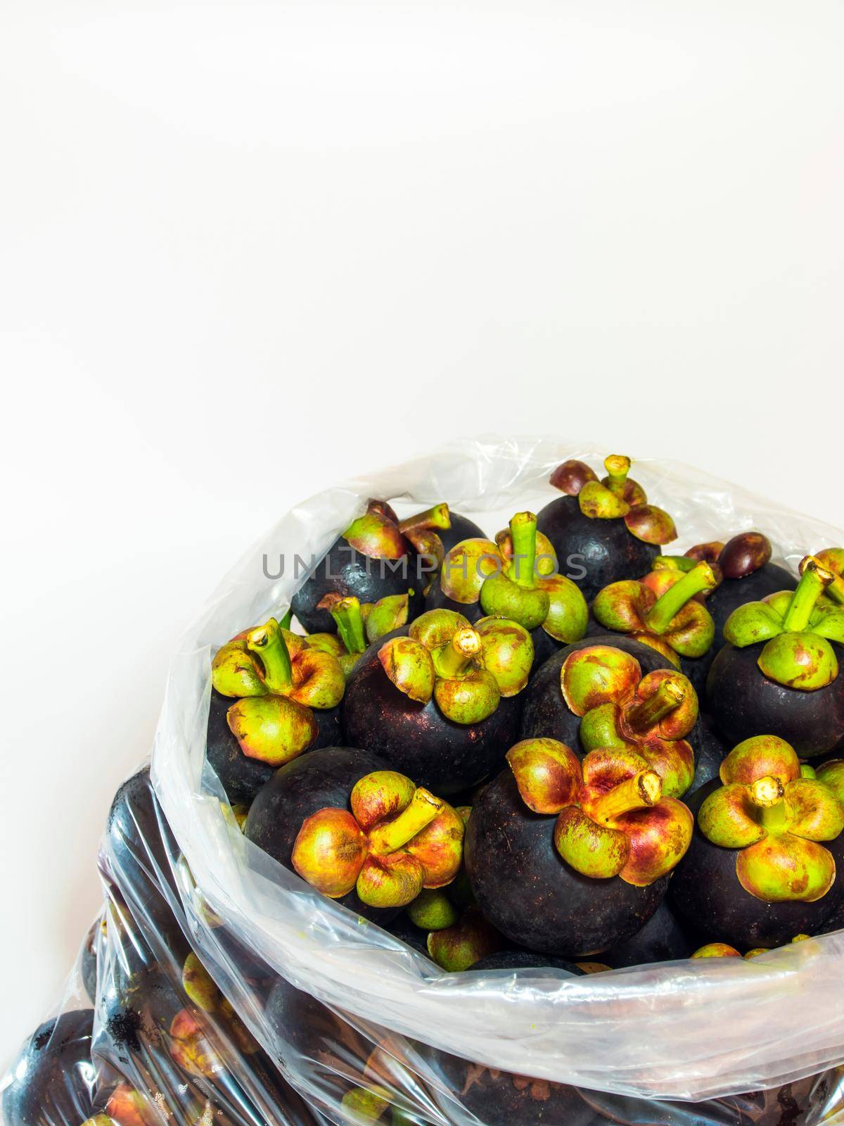 Fresh mangosteen from fruit  orchard pack in the transparent big plastic bags for wholesale