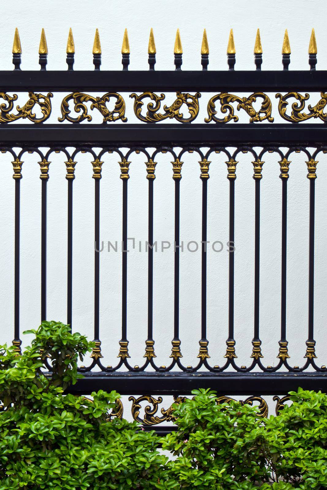 Alloys metal fence and Ornamental plants by Satakorn