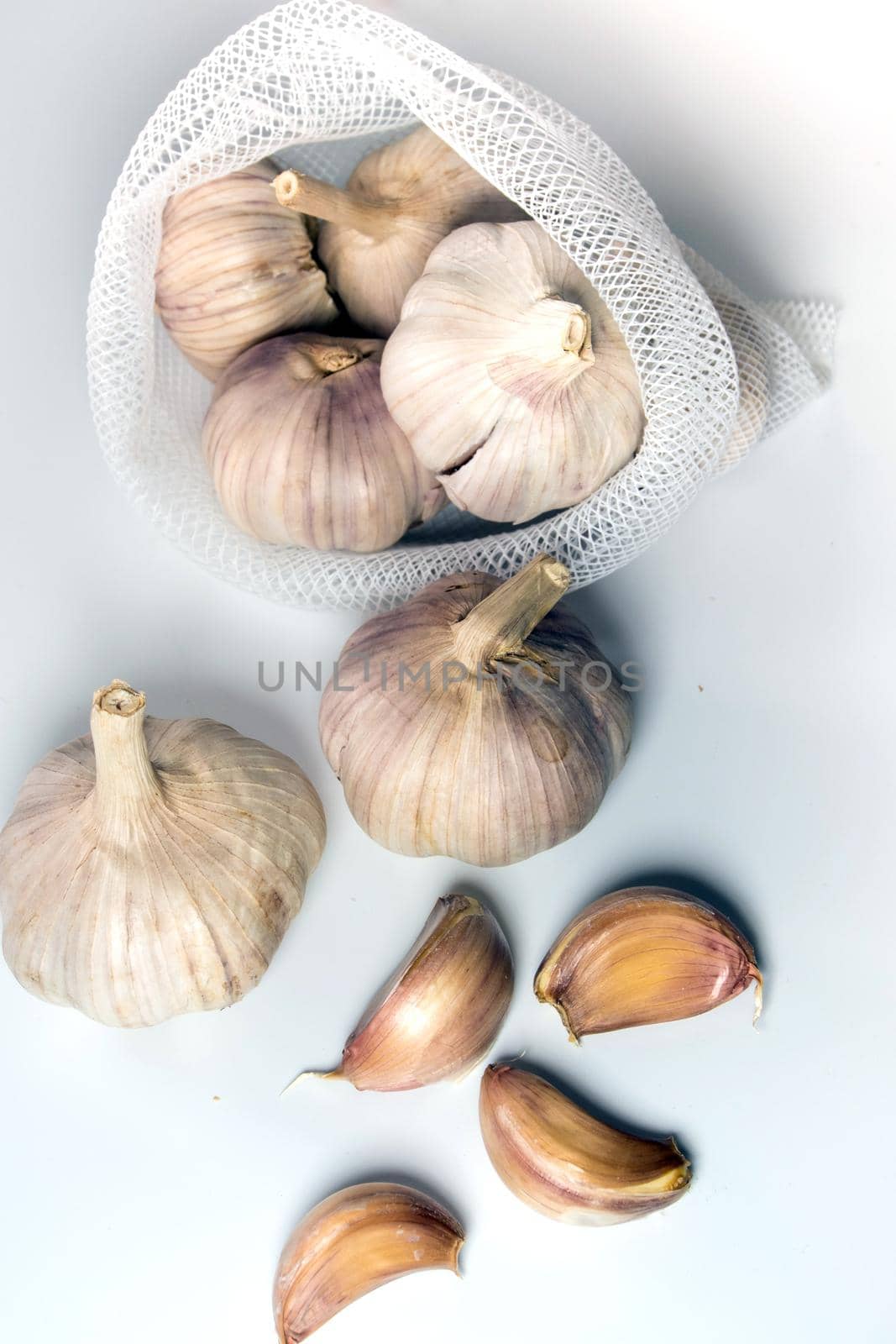 Garlics on white background, spice herb and food ingredient