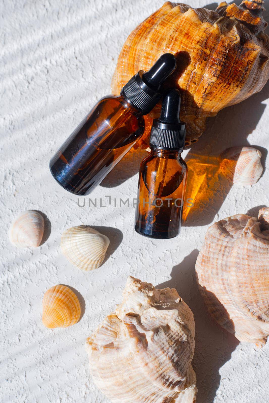 Cosmetic oil and shells . A container for cosmetic oil. Cosmetology. Skin care. Seashell. Article about the choice of facial oil