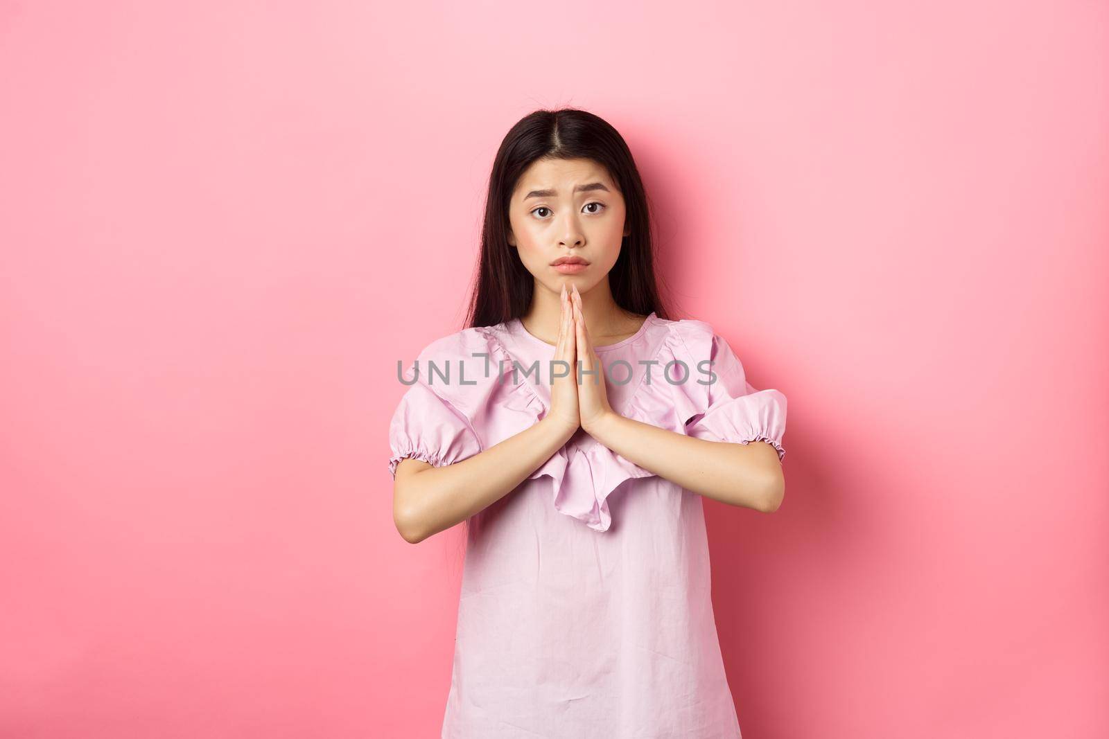 Please help me. Cute asian woman begging you, holding hands in pray and asking for favour, need something, standing against pink background by Benzoix