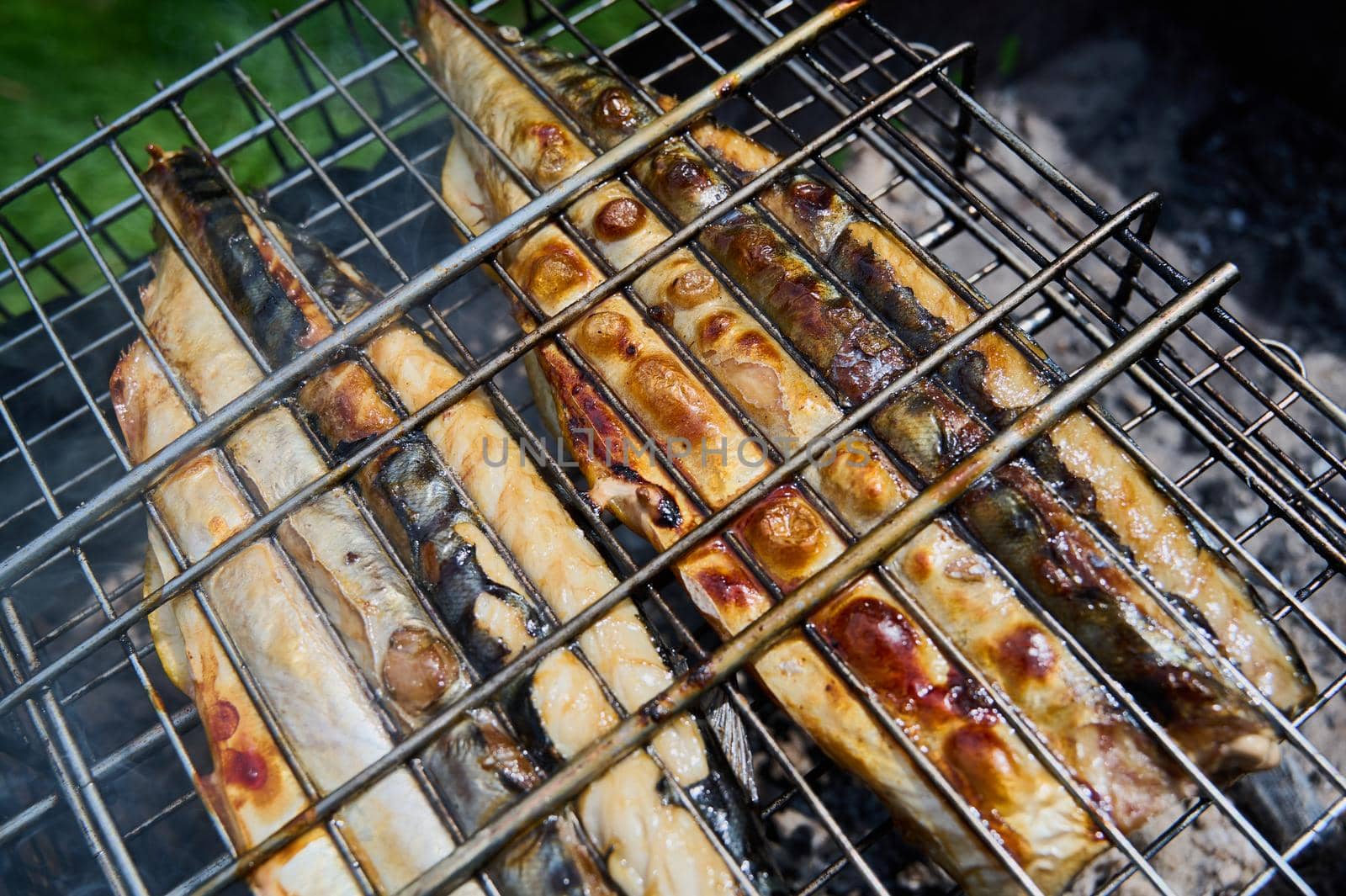 Barbecue of fish in nature in summer by ISRAFOTO