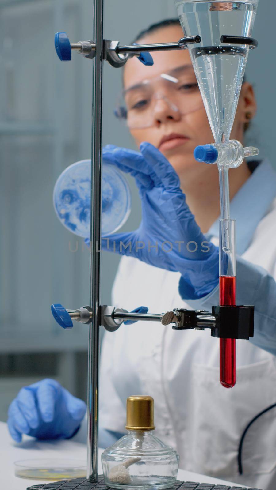 Microbiology woman studying petri dish in laboratory at clinic, having chemical equipment. Doctor doing medical research with vacutainers, test tube, micropipette and microscope on desk