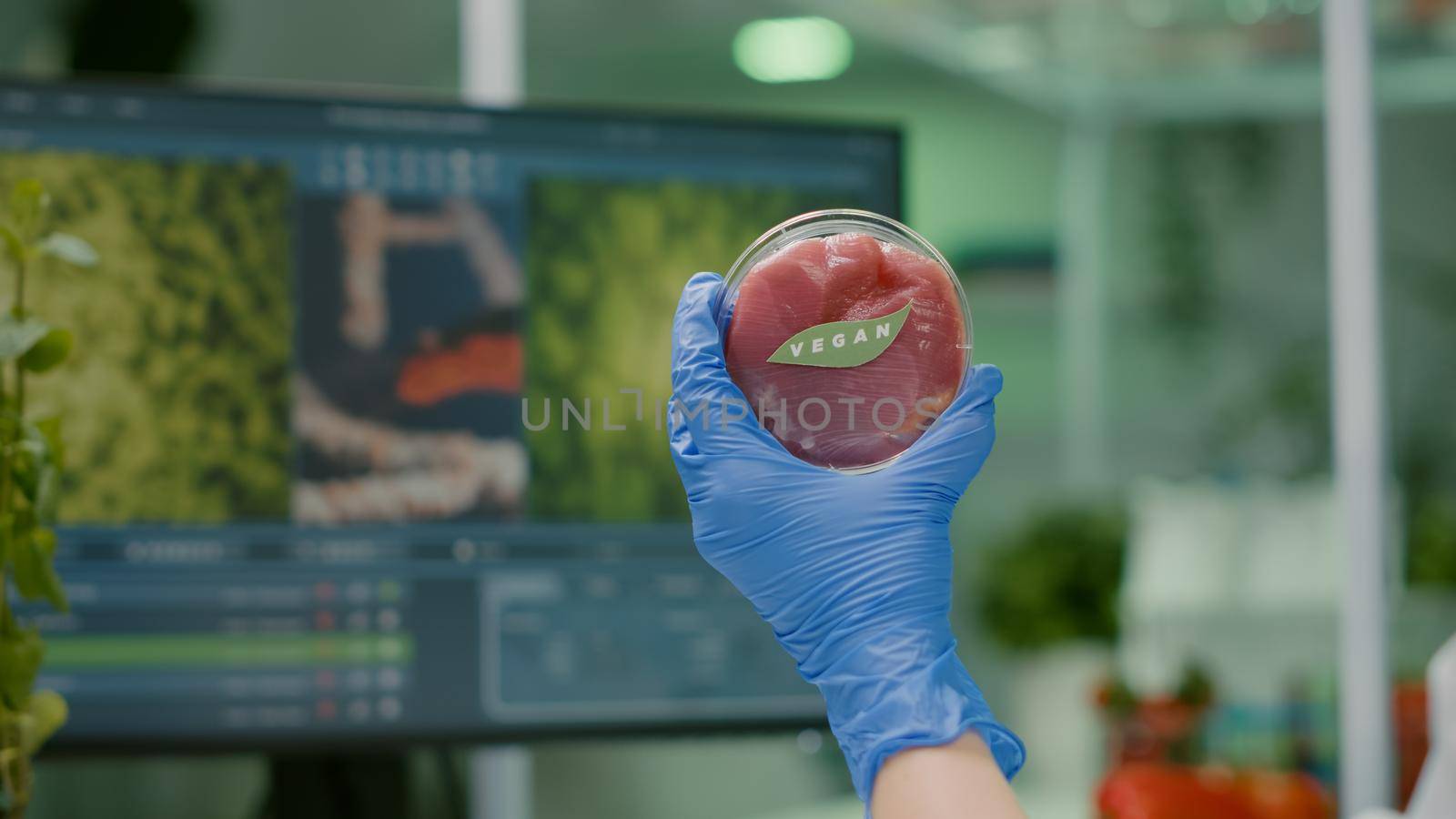Closeup of chemist holding in hands vegan beef meat sample researching genetically modified vegetarian food. Scientist working in biotechnology laboratory analyzing biotech medical expertise