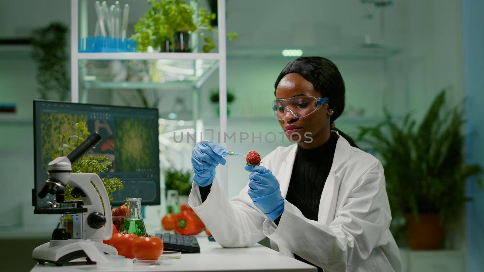Chemist scientist injecting strawberry with organic liquid examining dna test by DCStudio