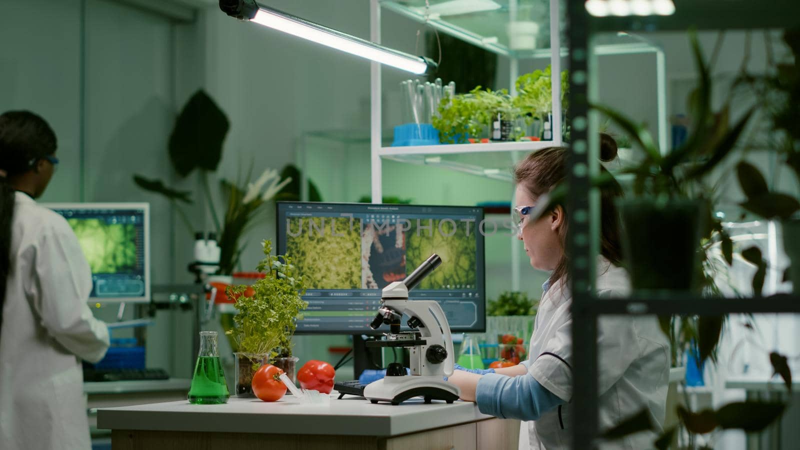Biochemistry doctor examining chemical test using microscope for genetic researcher. Biologist specialist discovery organic gmo plants while working in microbiology food laboratory