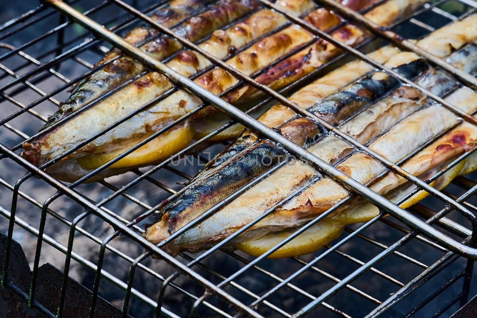 Barbecue of fish in nature in summer close-up photo